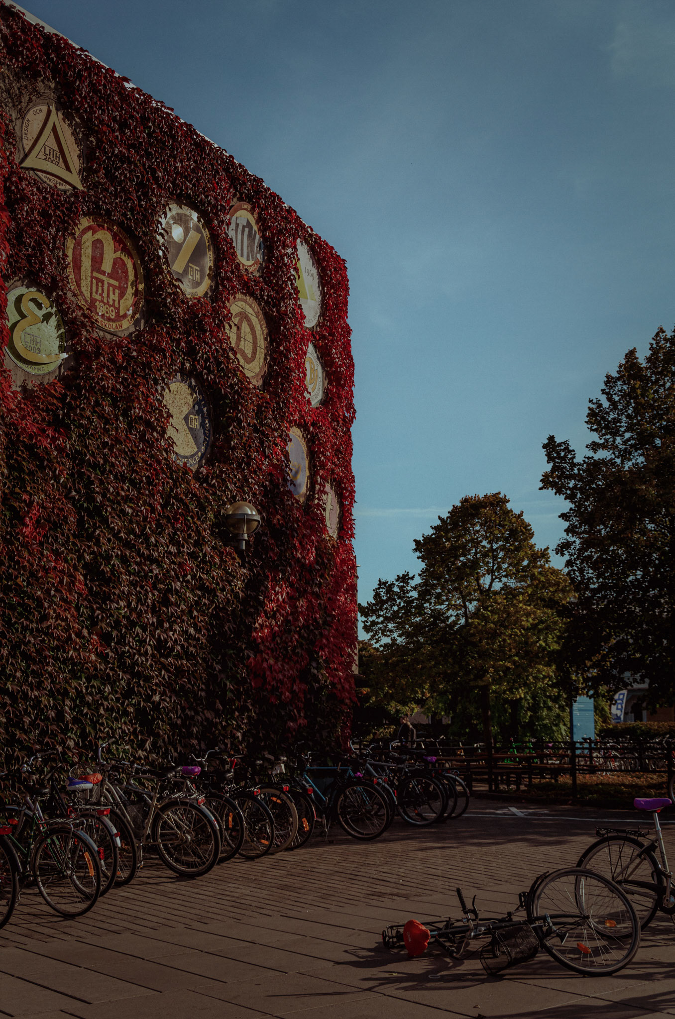 C-huset, Campus Valla, Linköping University