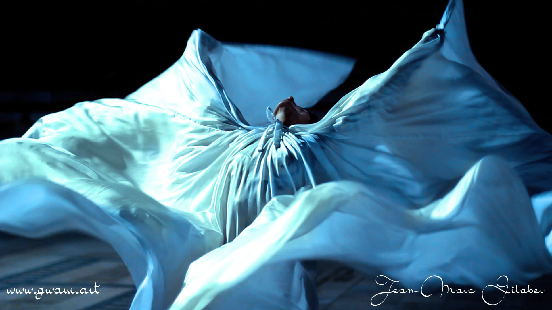Danse des vagues et des Volutes dans les ailes de soie