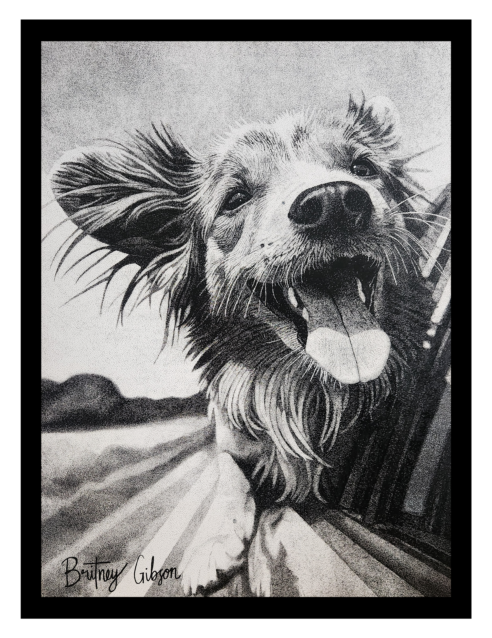 Joyride 36x48