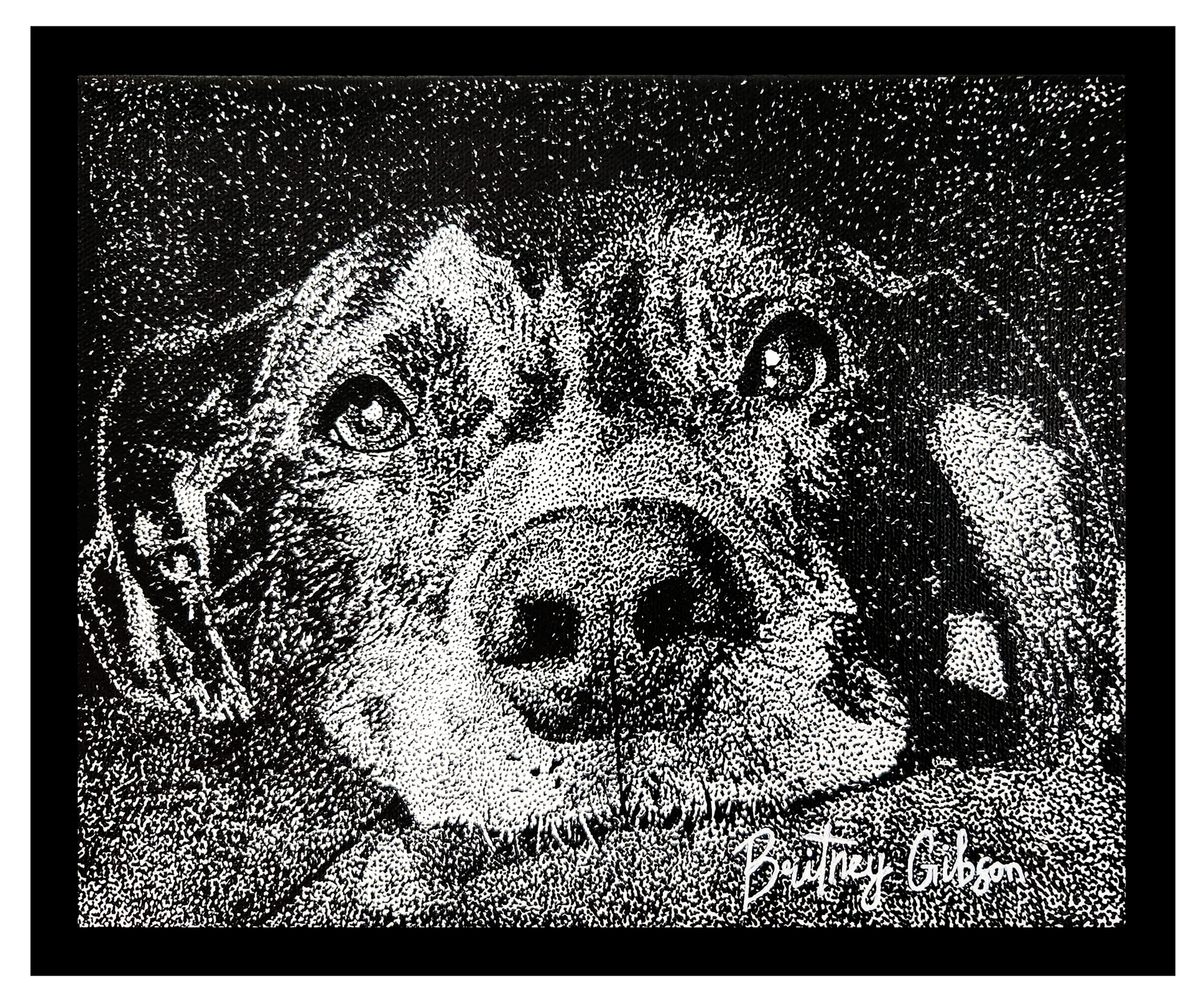 Ranger