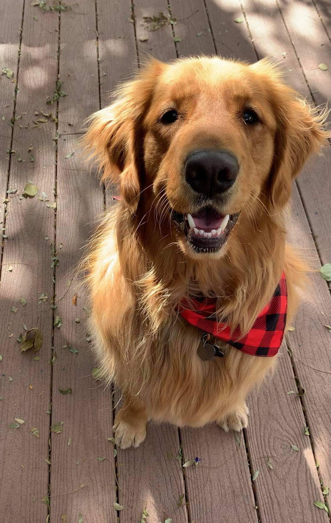Remi