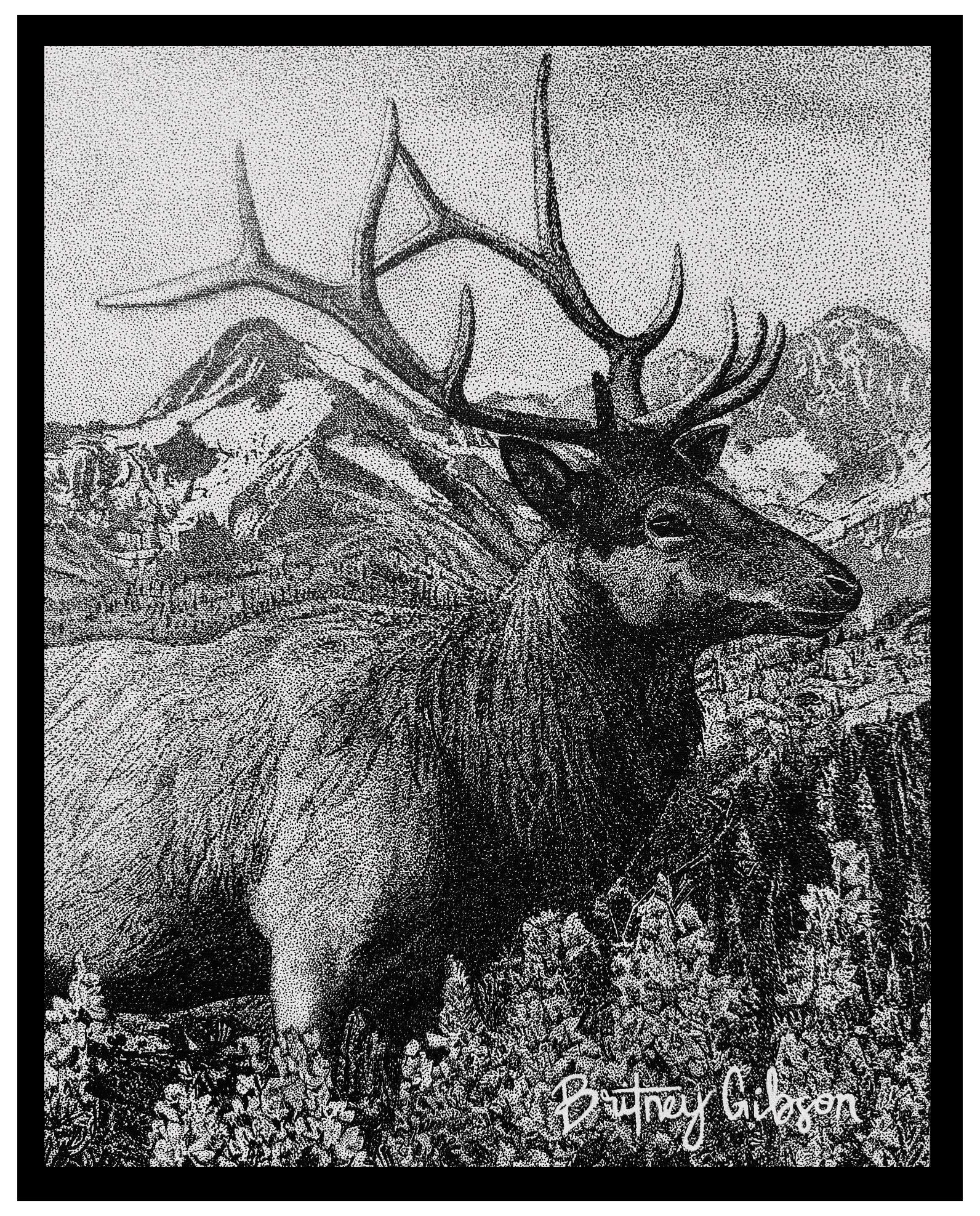 Capitol Peak Elk