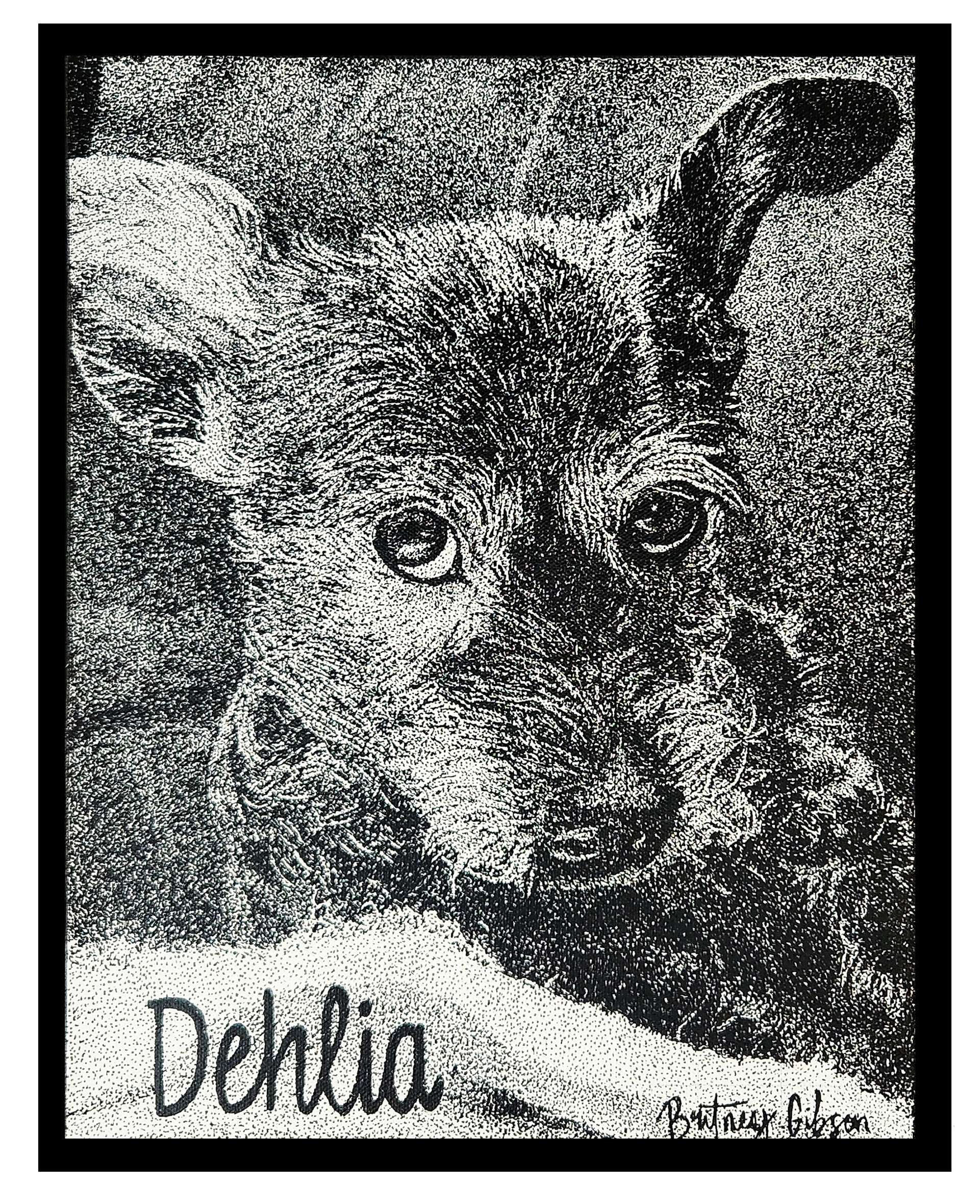 Dehlia 11x14