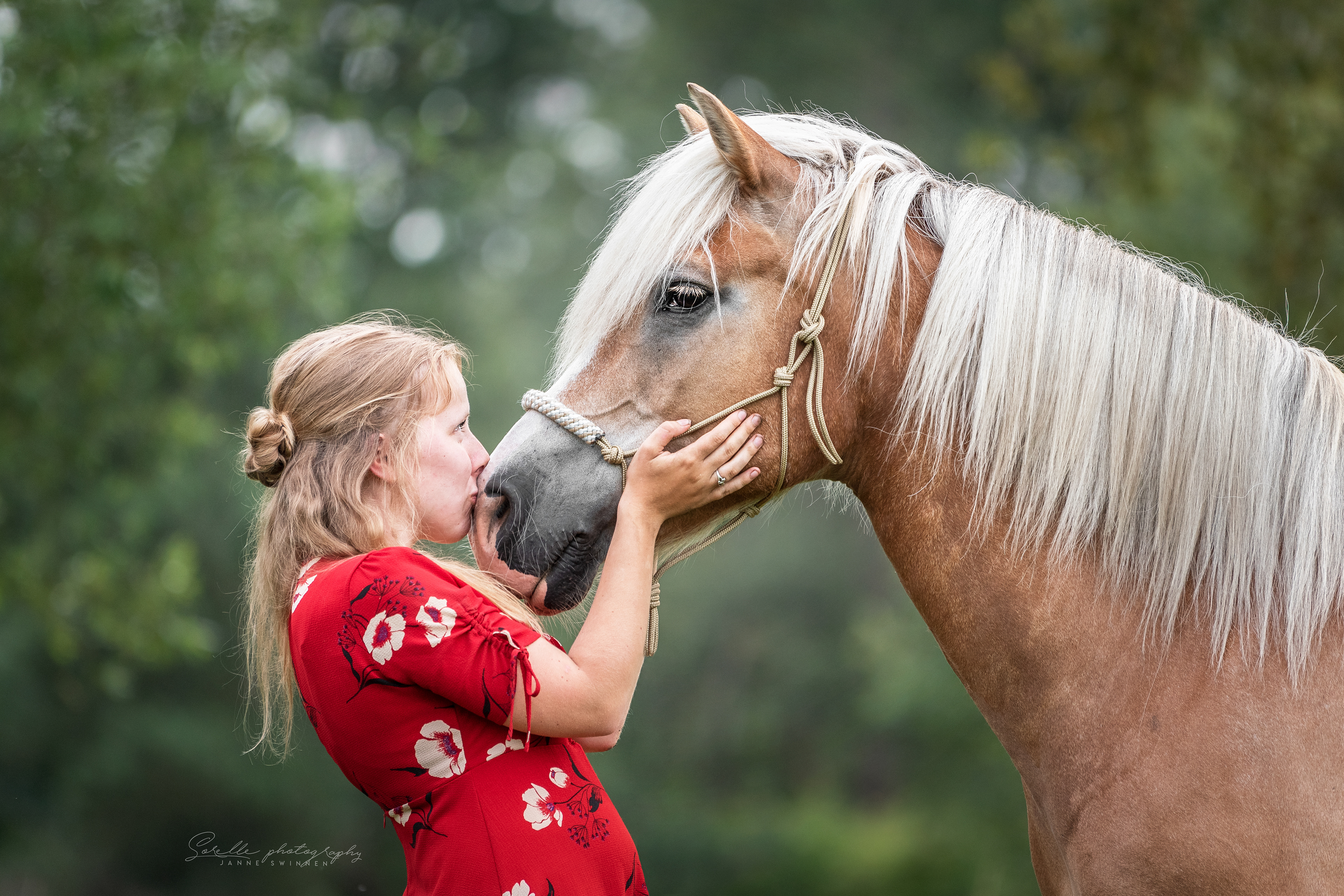 zomer 2019