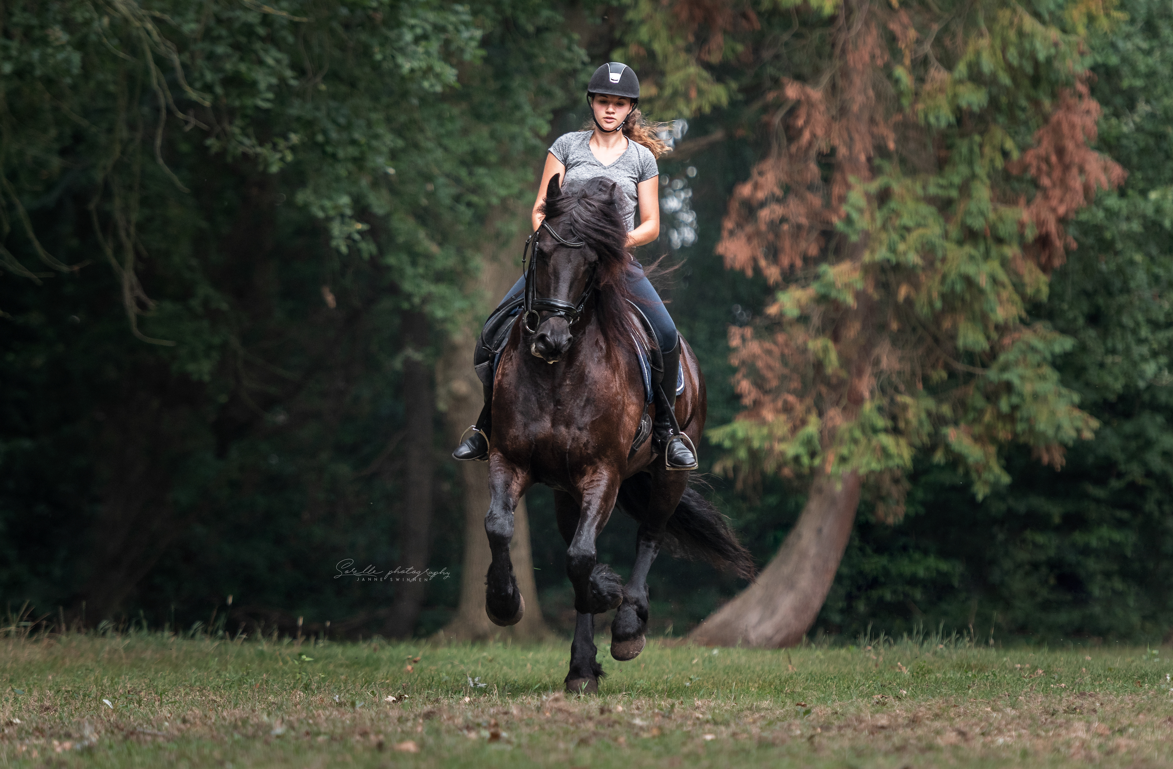 zomer 2019