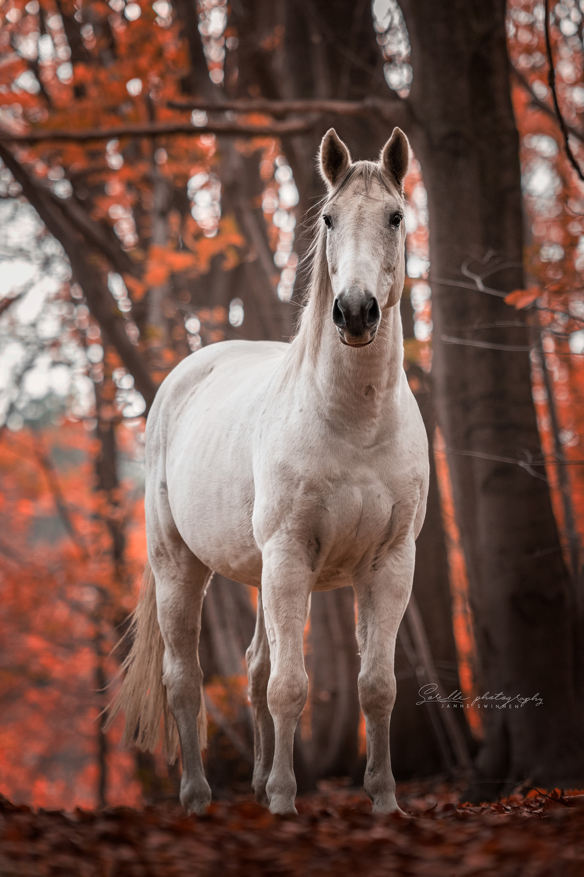 herfst 2019