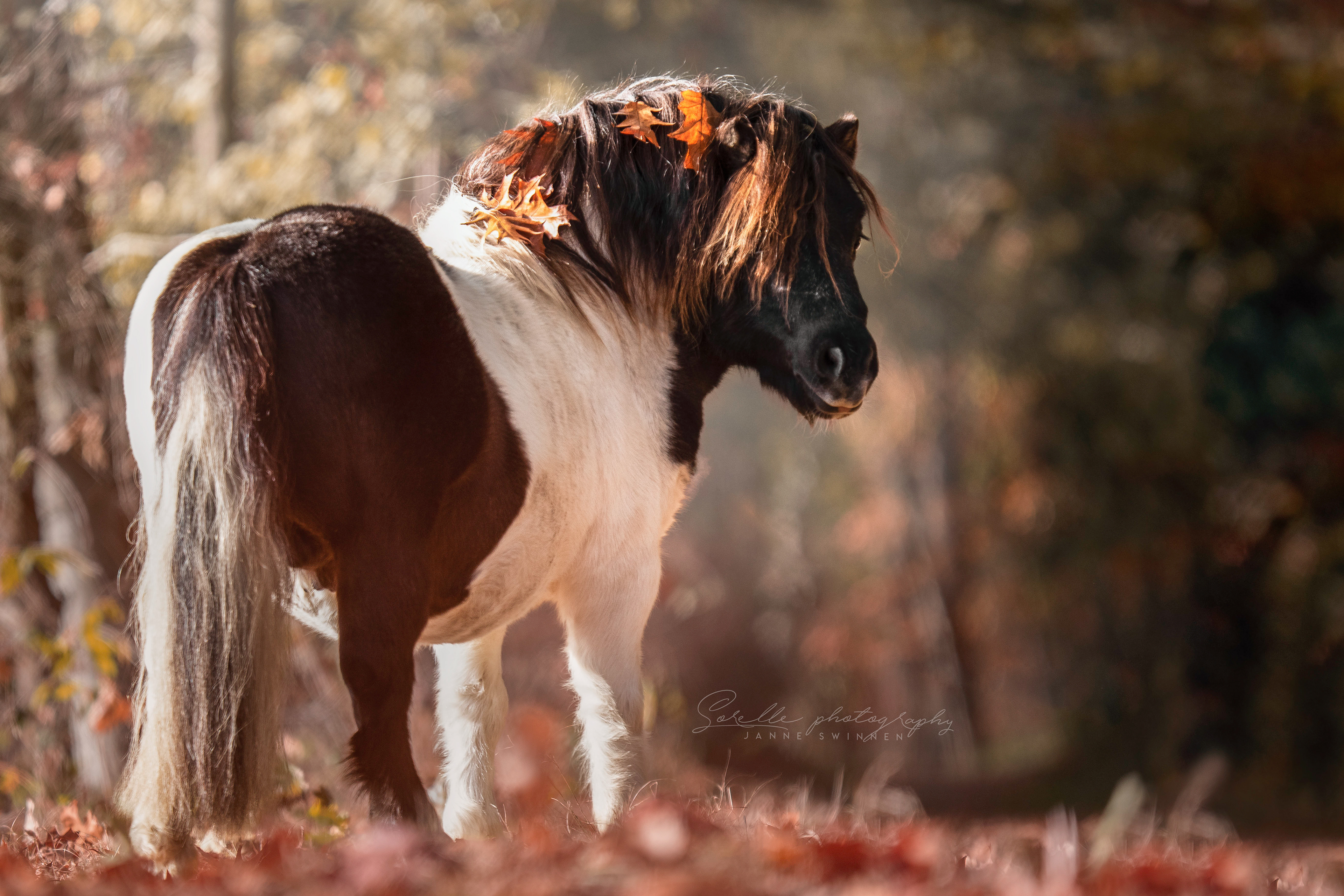 herfst 2018