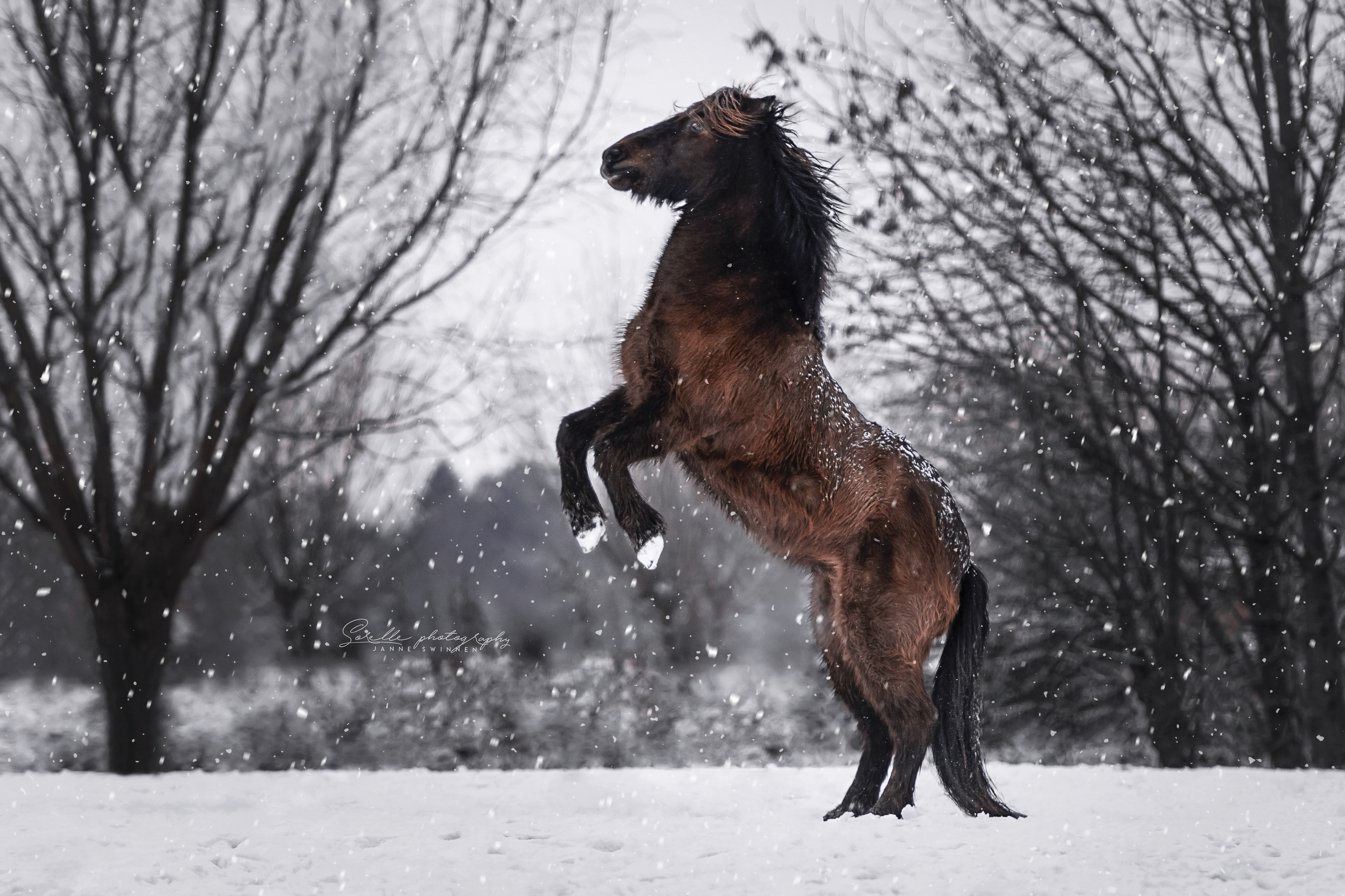 winter 2021