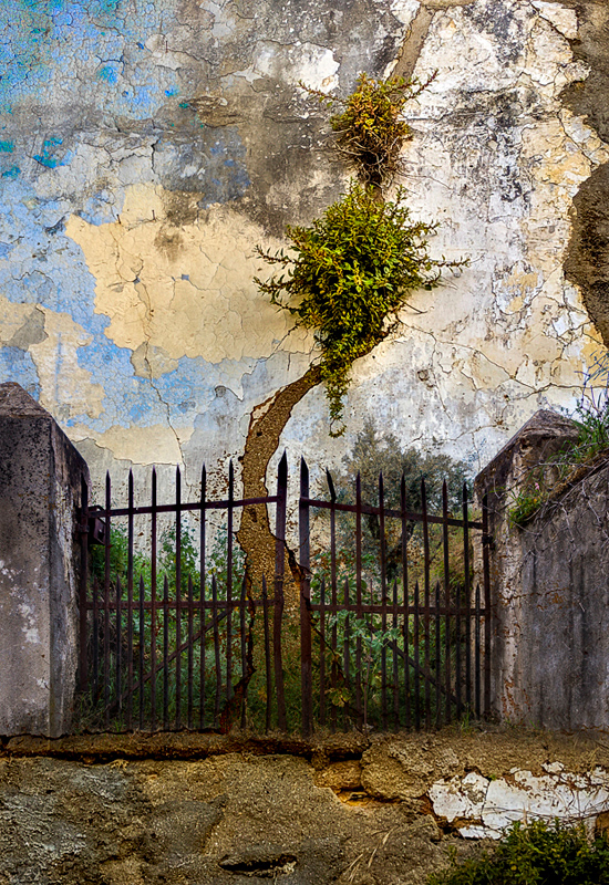Behind that wall