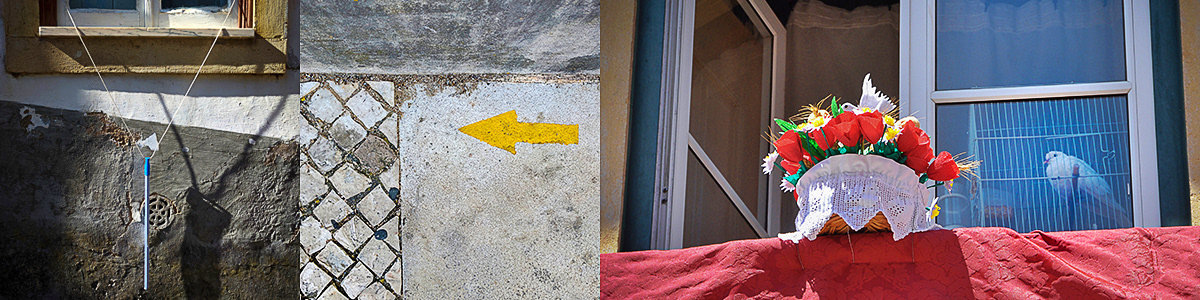 I saw a sign. I understood it was an invitation to find out more.