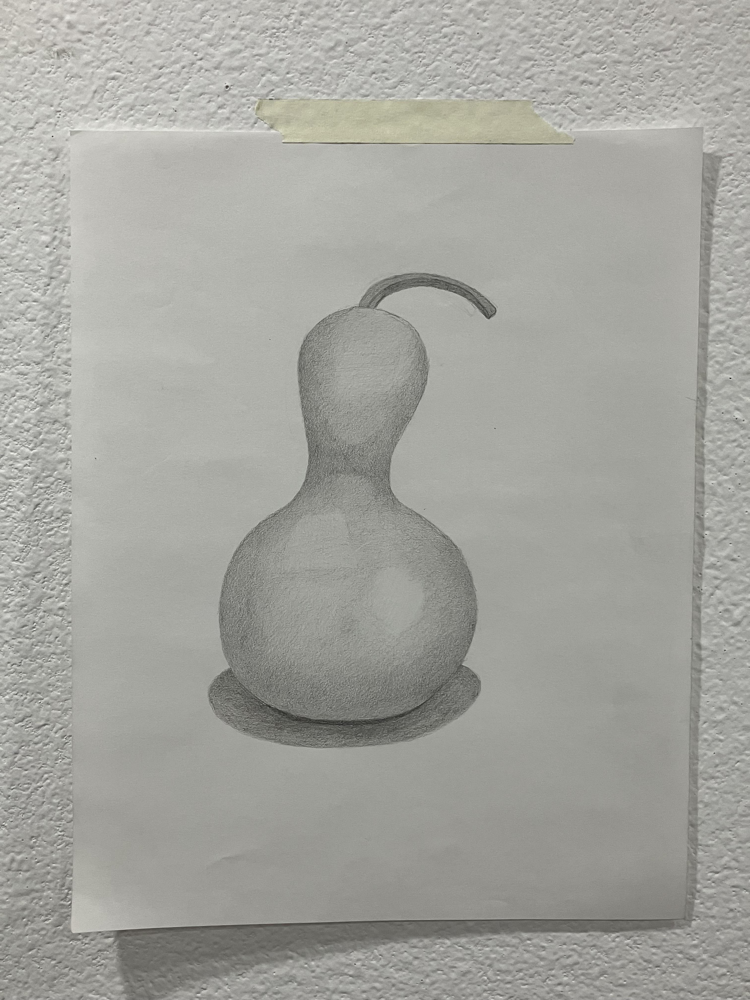 Gourd. A class assignment. Sketch. 18in. x 14in. Graphite. 2025. (No grid, No projector. No tracing.)