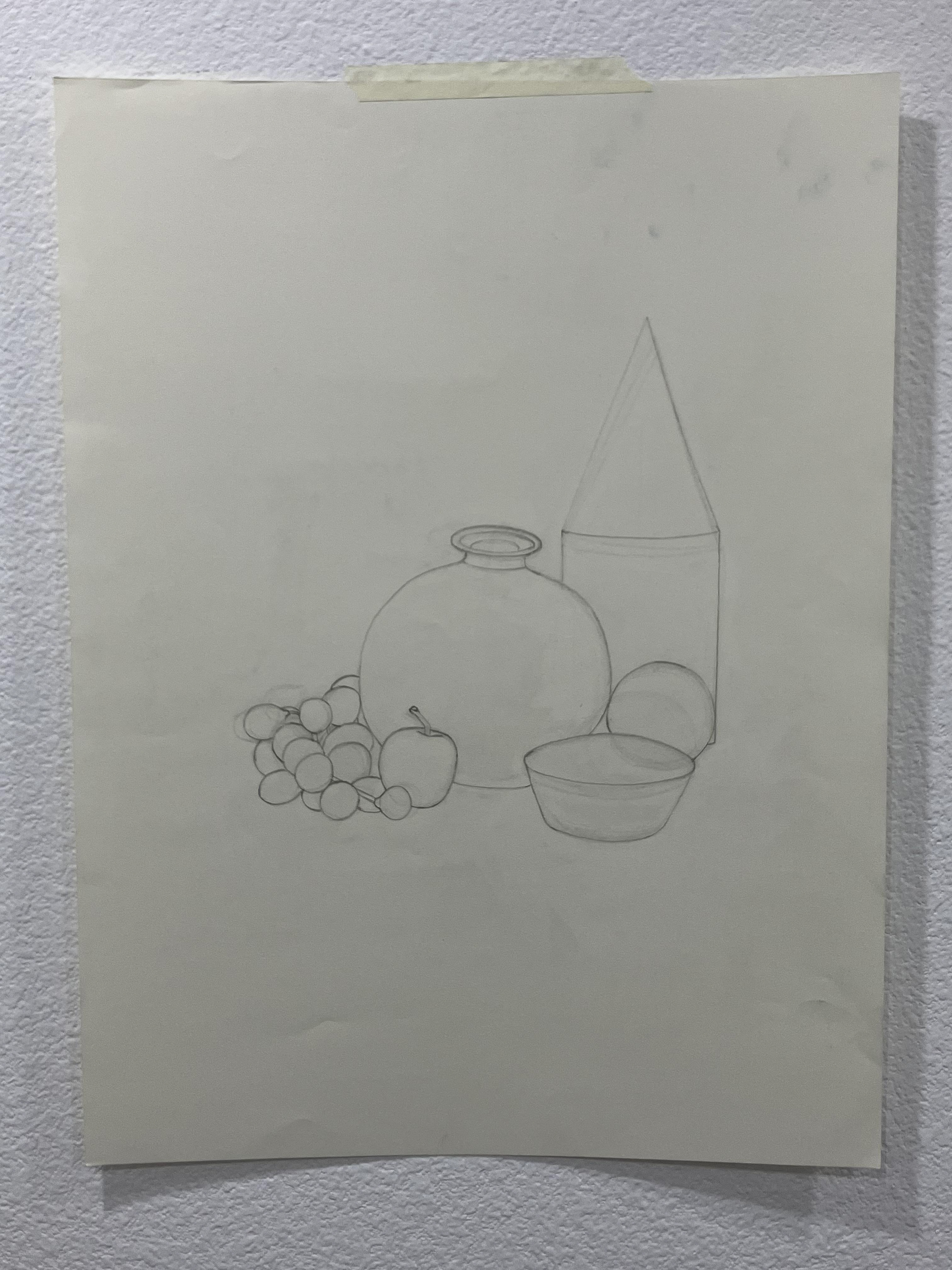 Still Life. A class assignment. Sketch. Contour. Graphite. 18in. x 24in. 2025. (No grid, No projector. No tracing.)