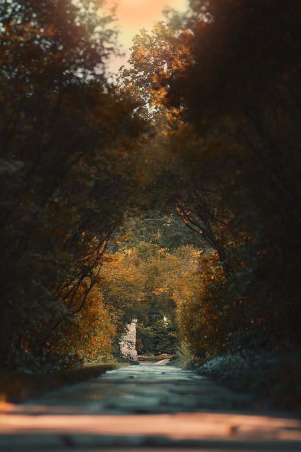 Photographer @ Haidarpng 