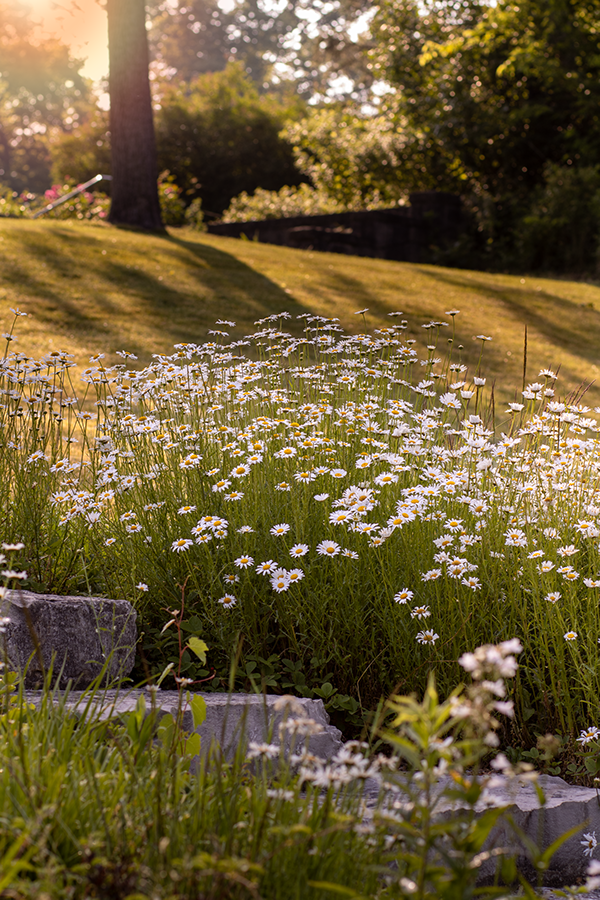 Photographer @ Haidarpng 