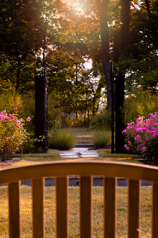 Photographer @ Haidarpng 