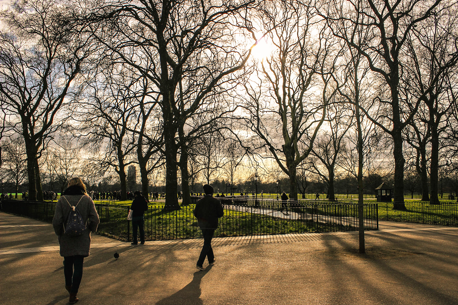 England, London, Hyde Park in Winter, 2016