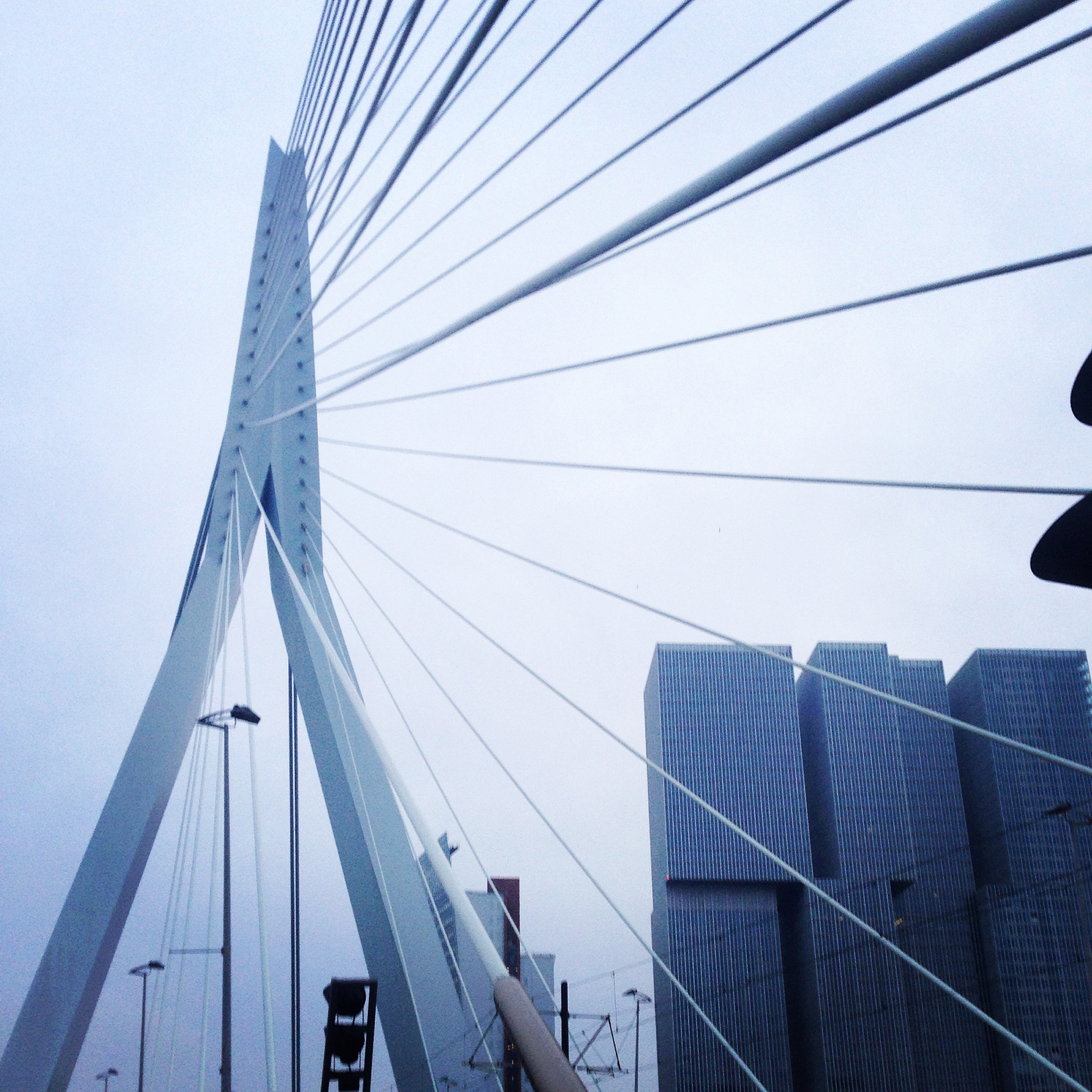 Netherlands, Rotterdam, Bridge, 2014