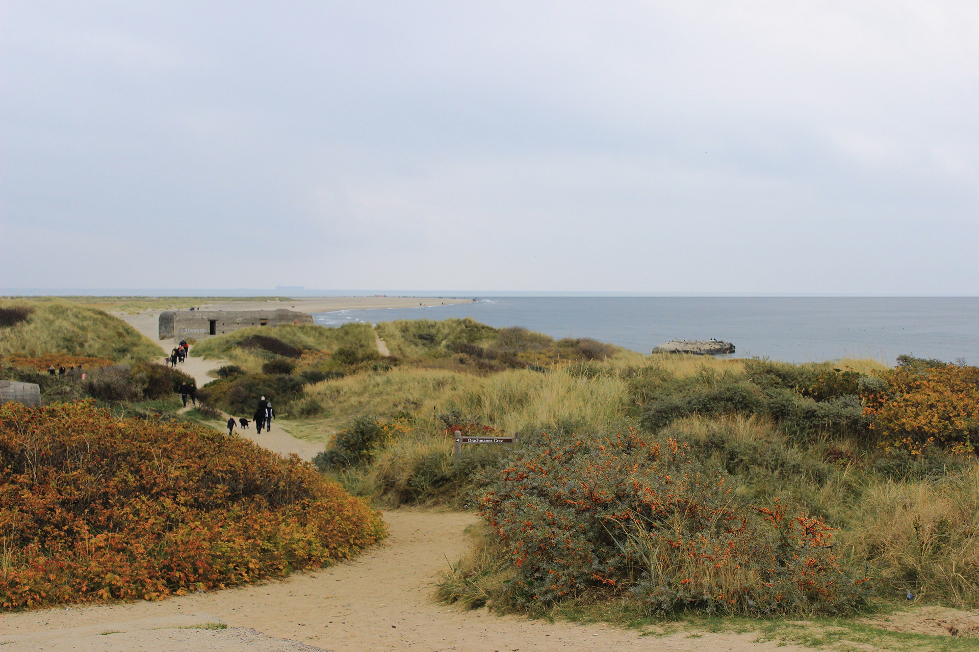 Denmark, Skagen, Path, 2013