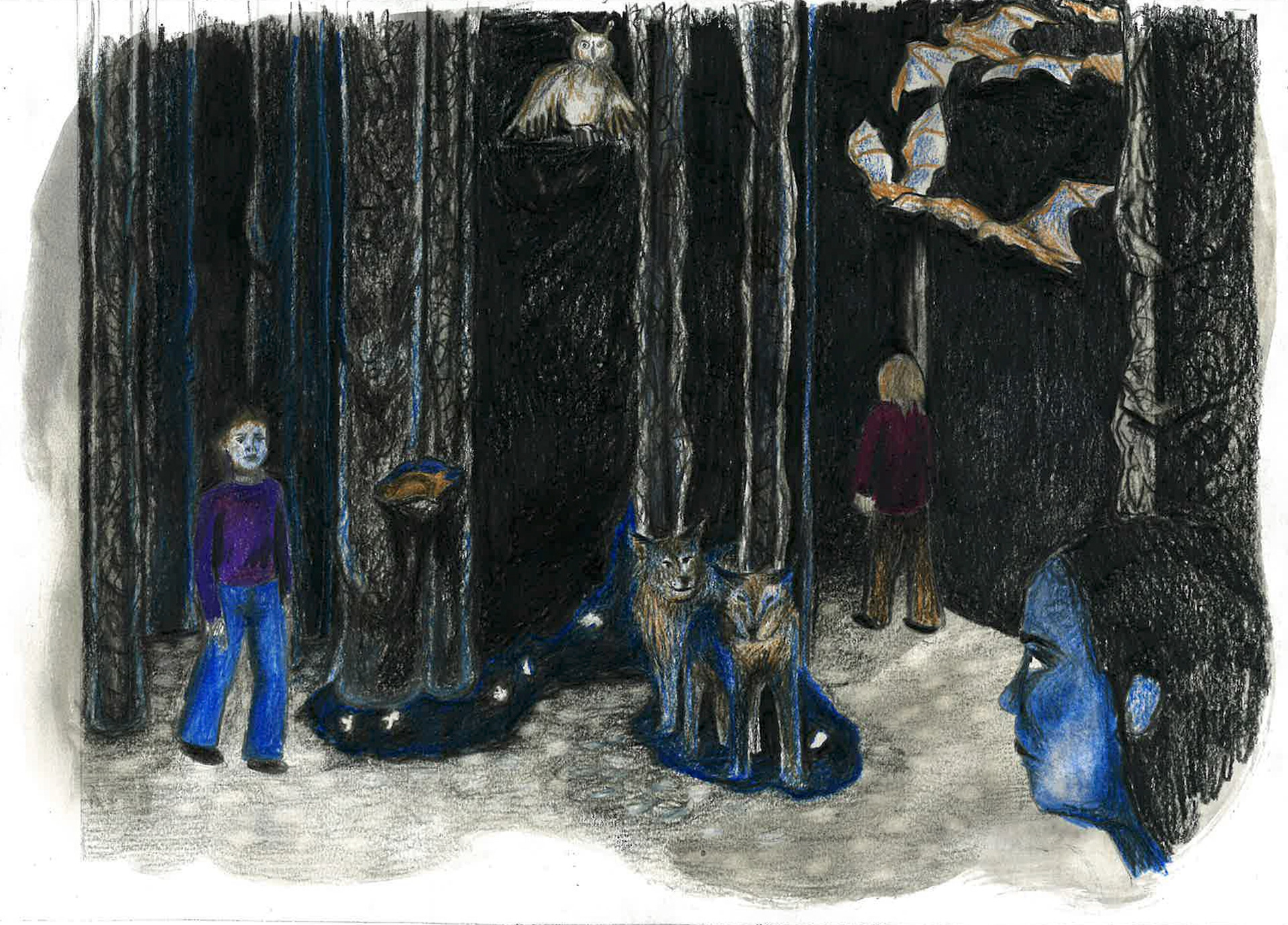 Illustration de la partie 3 - Une nuit de sommeil - et la partie 4 - Adaptation des animaux nocturnes