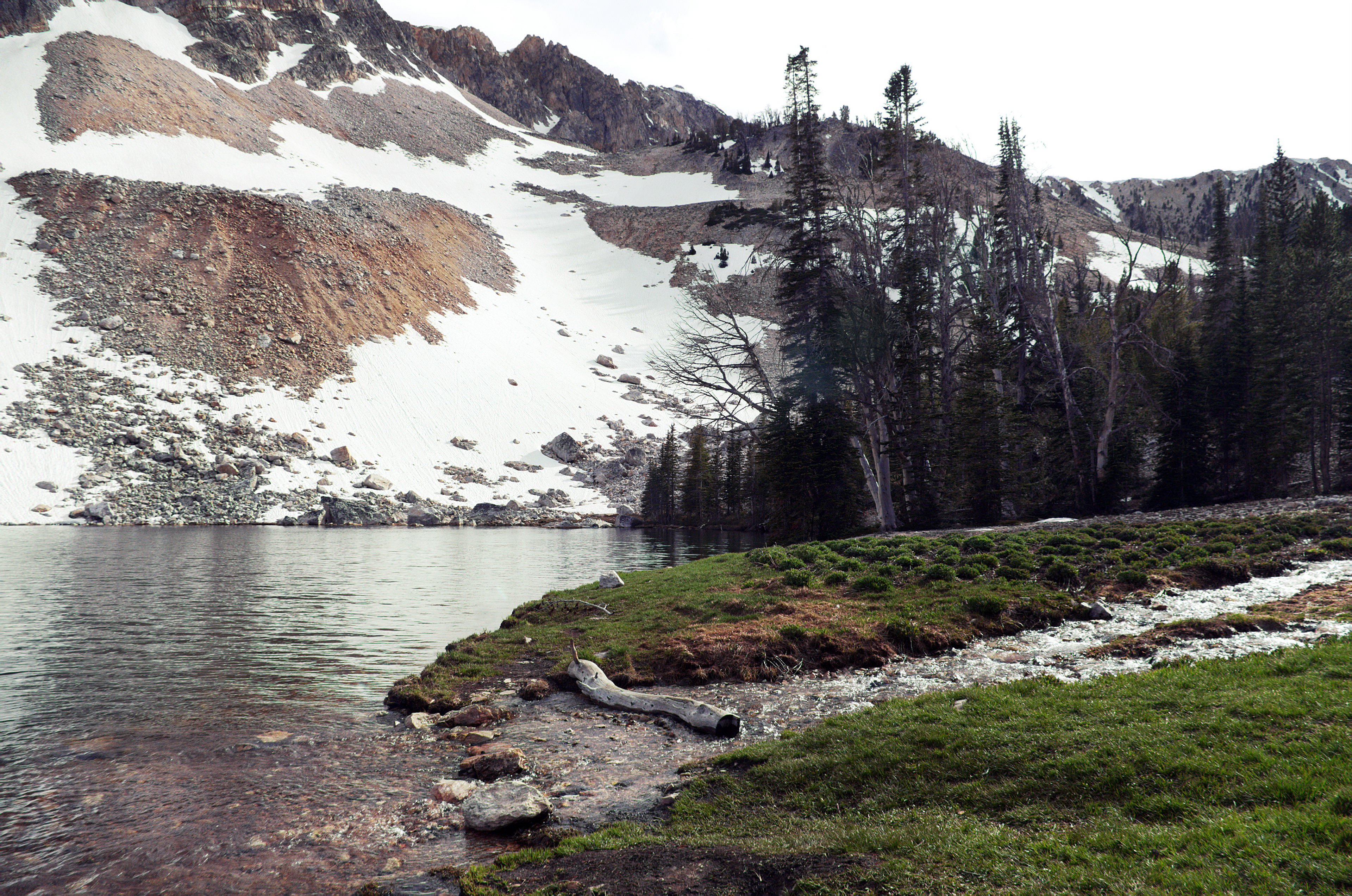 Meadow Lake