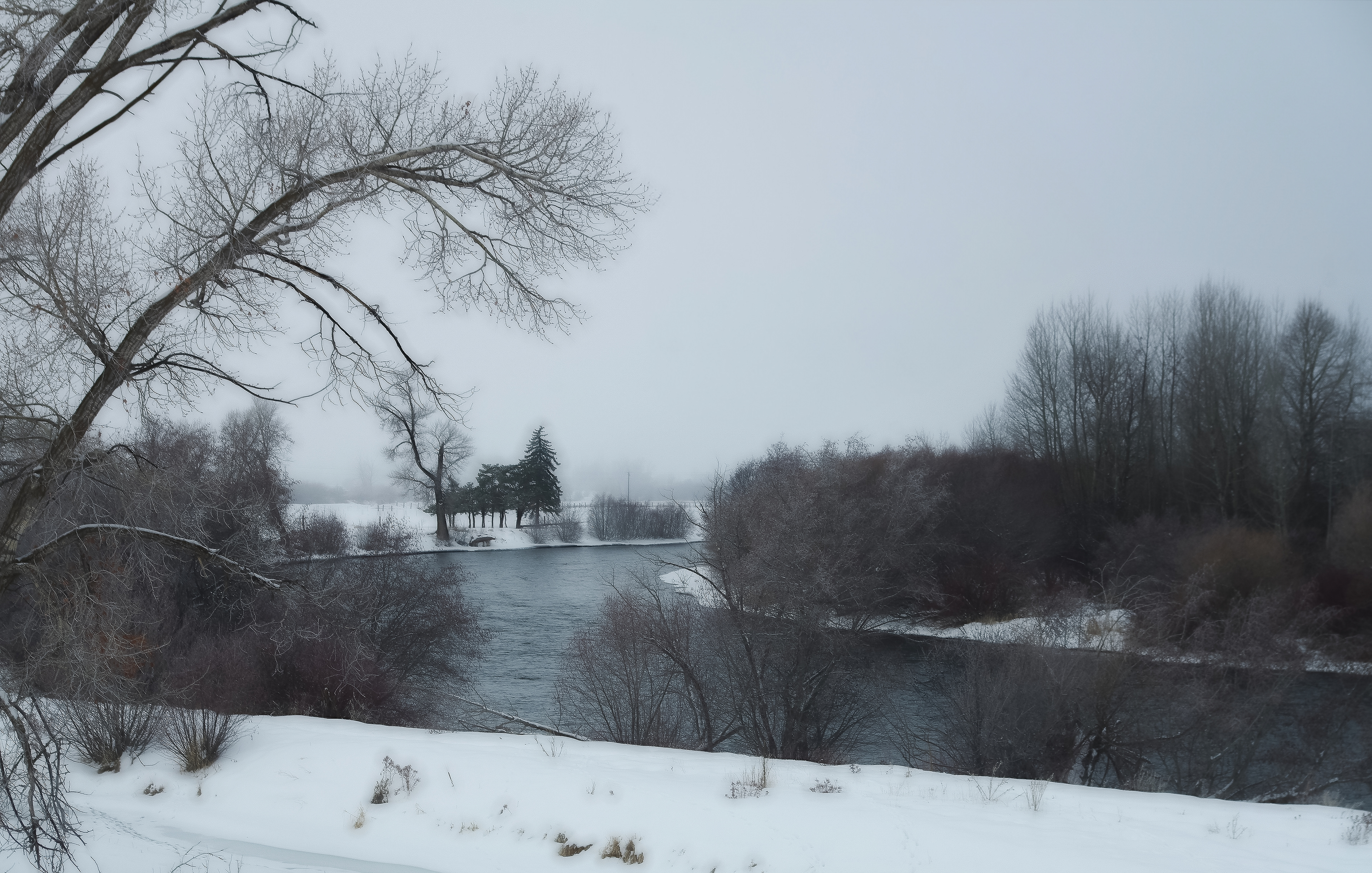 Crisp Winter's Day