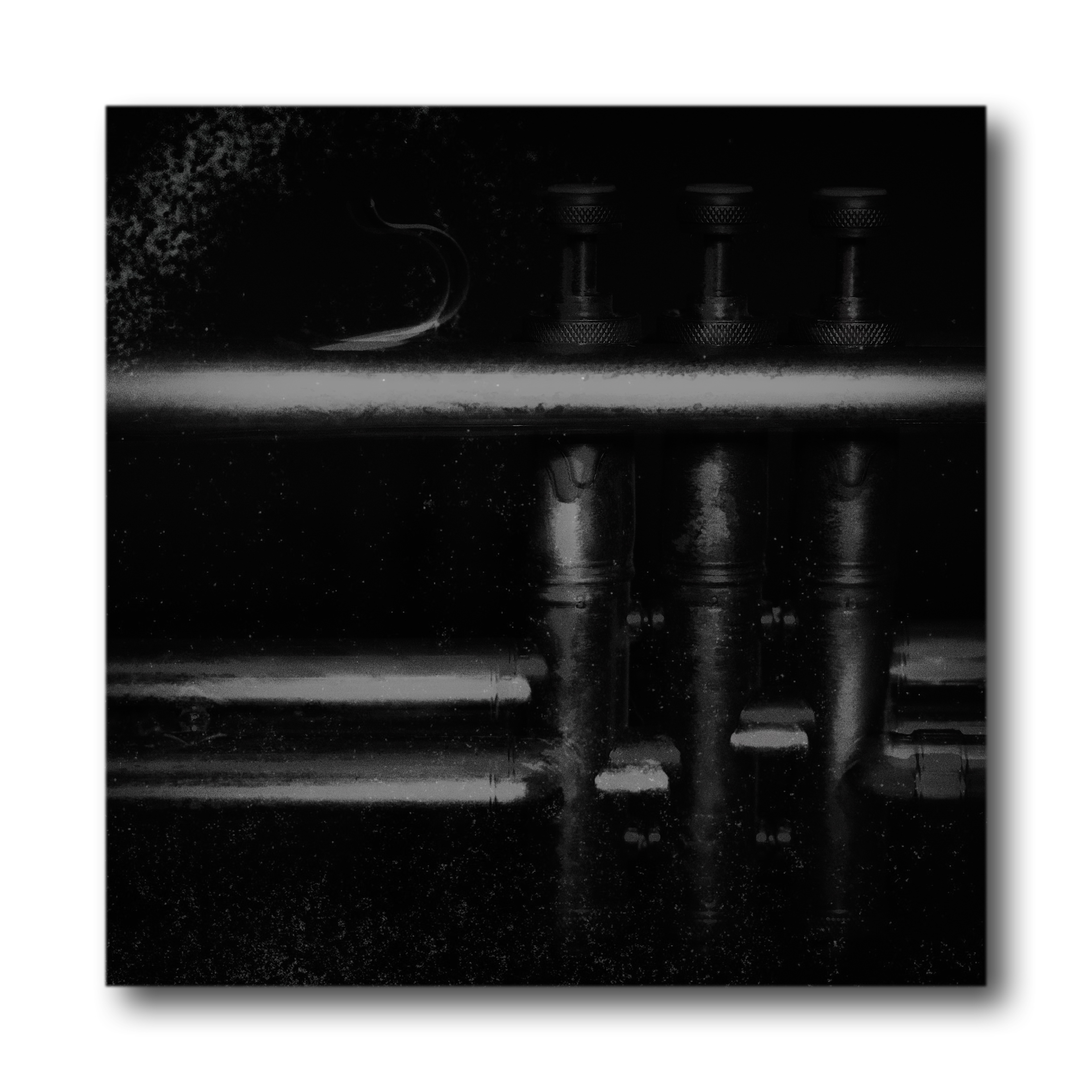 Midnight Jazz