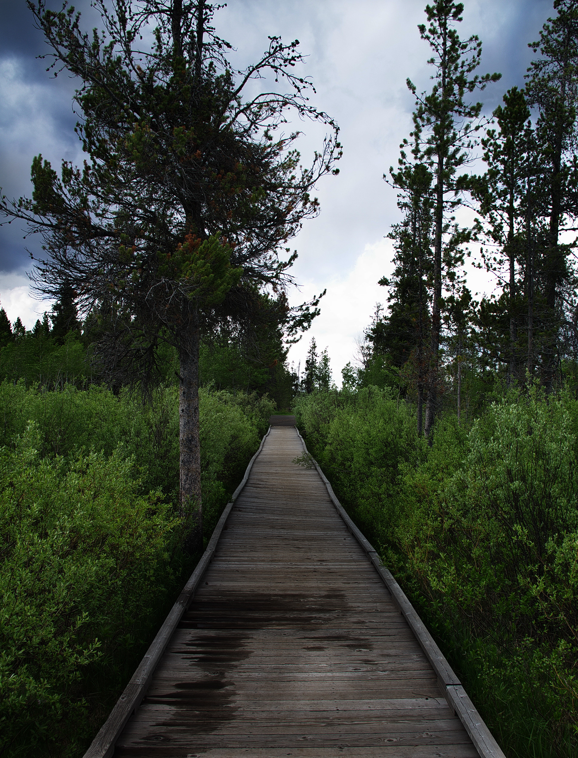 Boardwalk to Tranquility