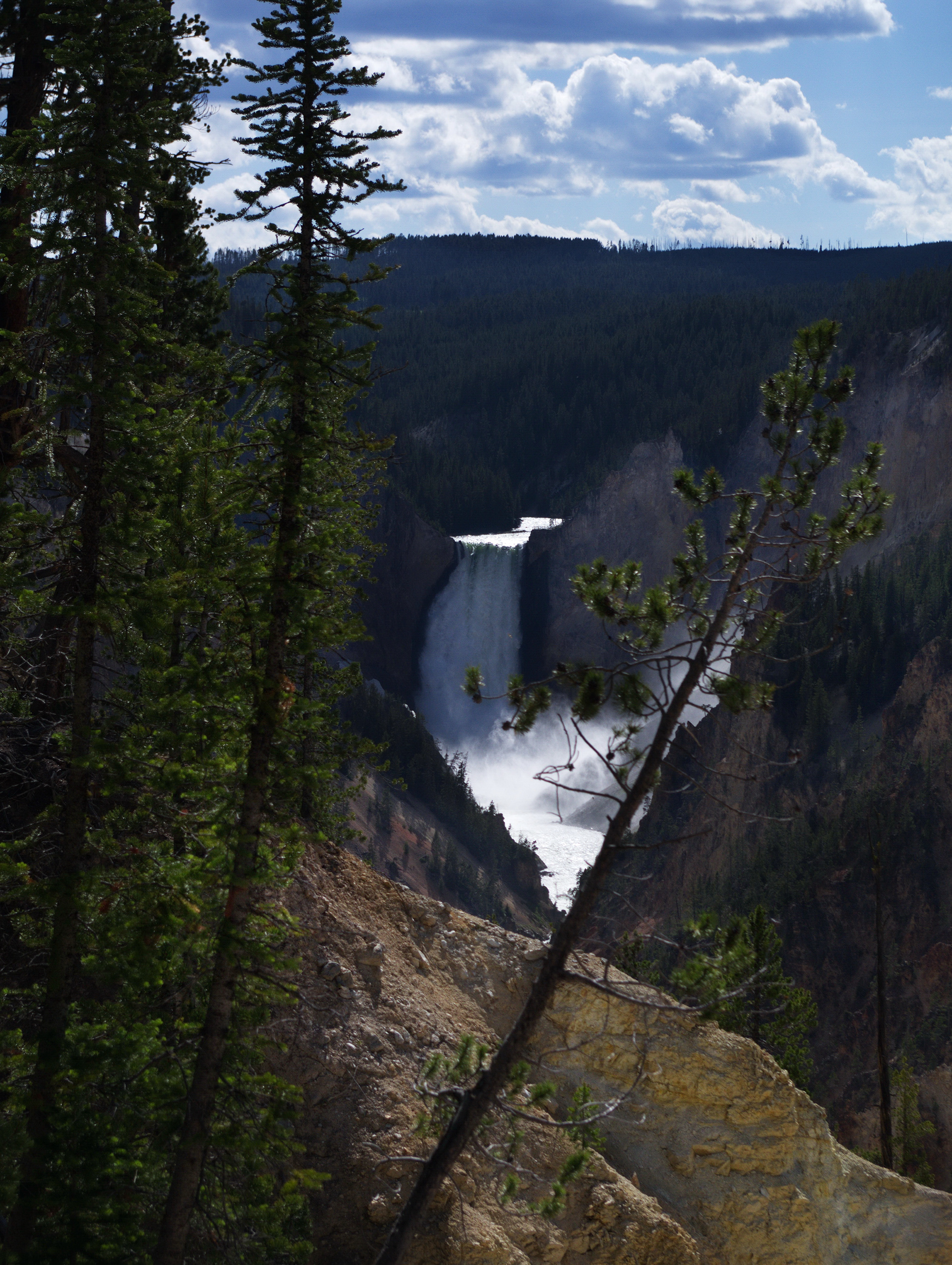 Yellowstone Falls