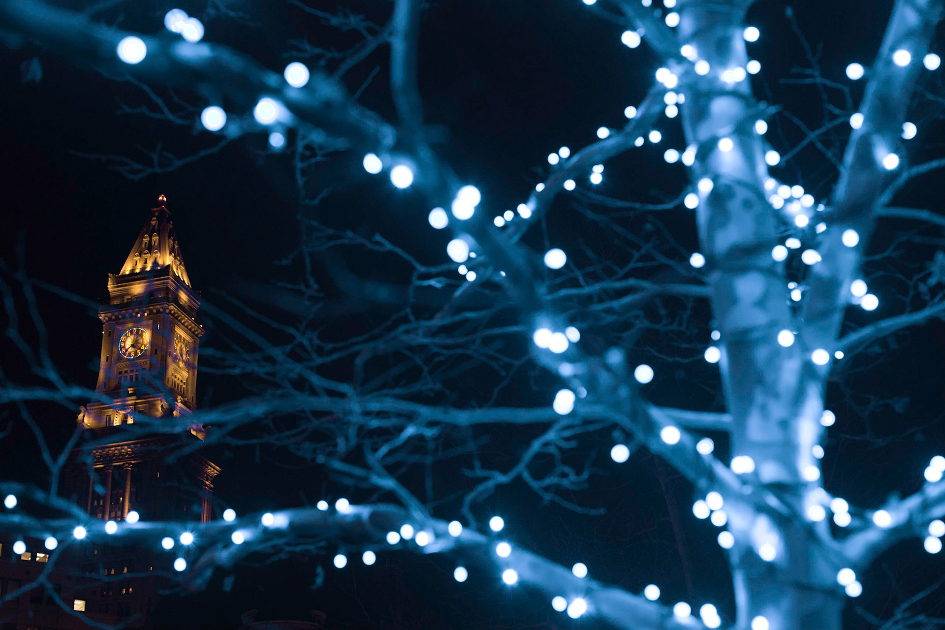 Custom House Tower, Boston, MA