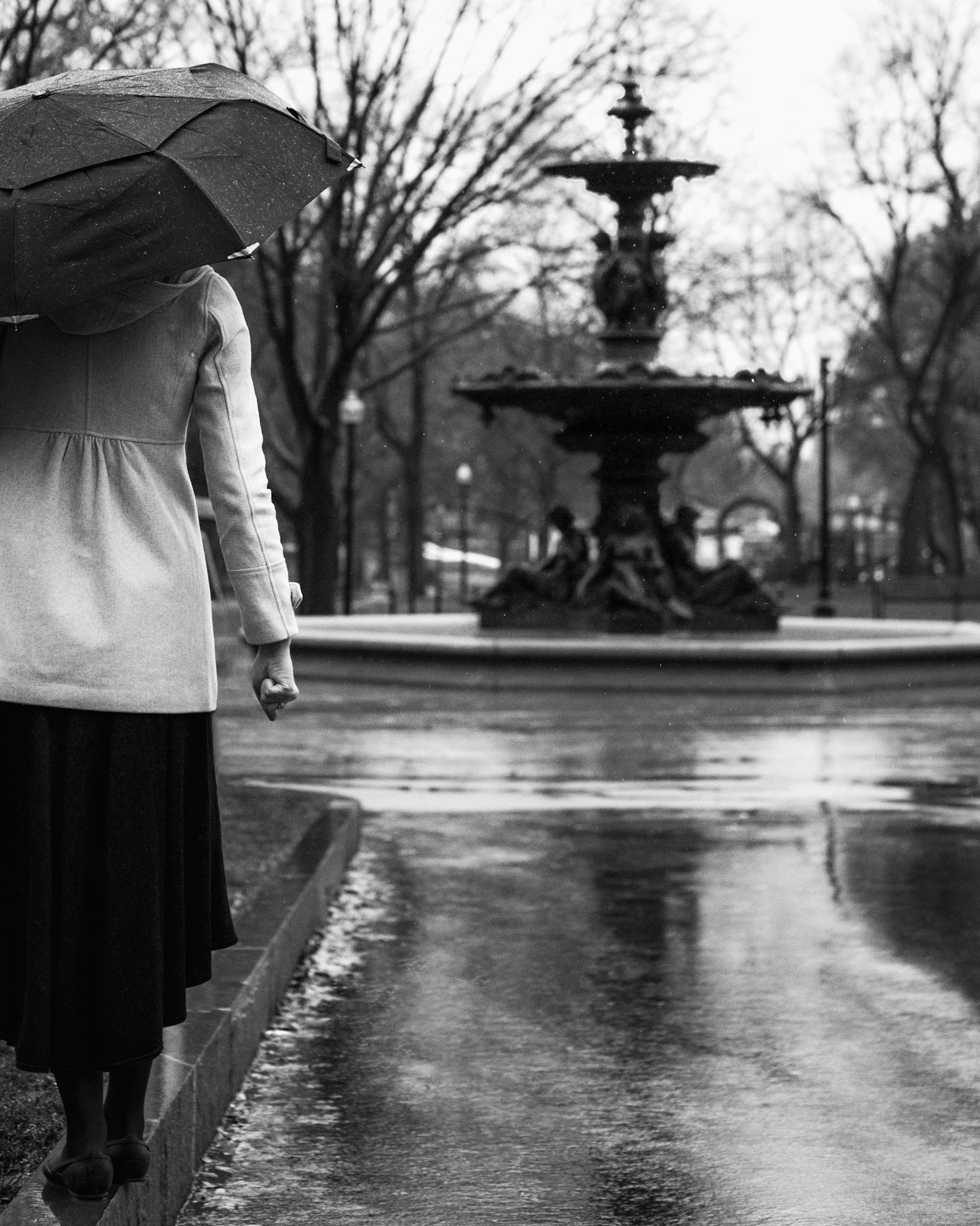 Boston Common, Boston, MA