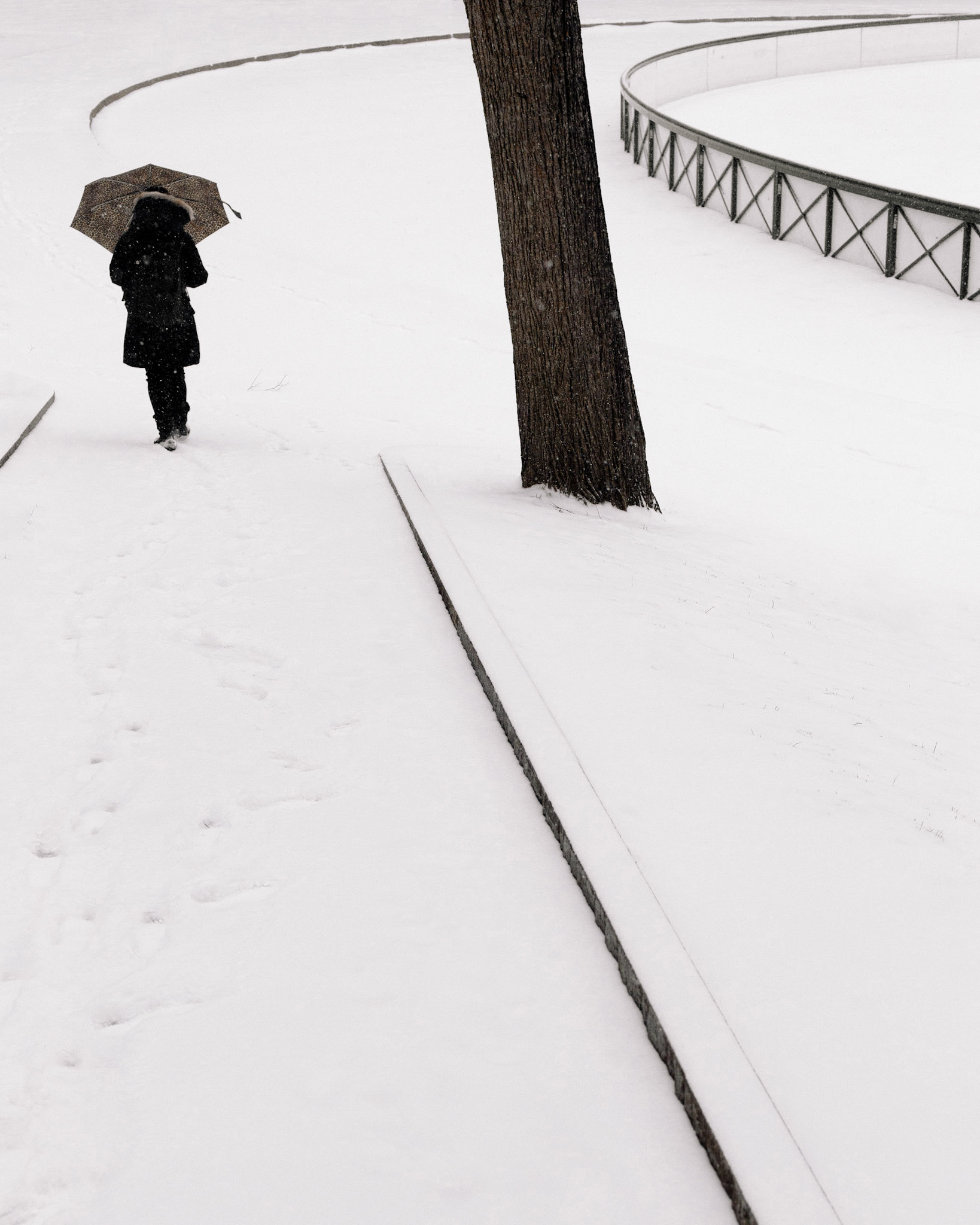 Boston Common, Boston, MA