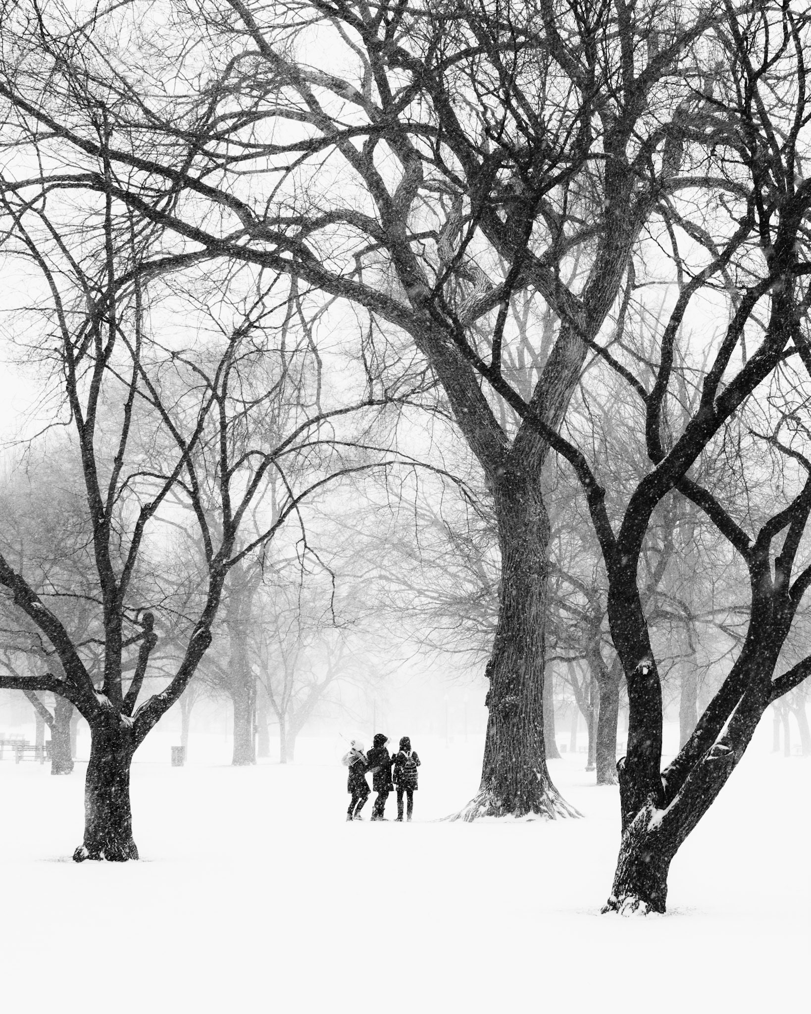 Boston Common, Boston, MA