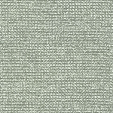 -08 Iron