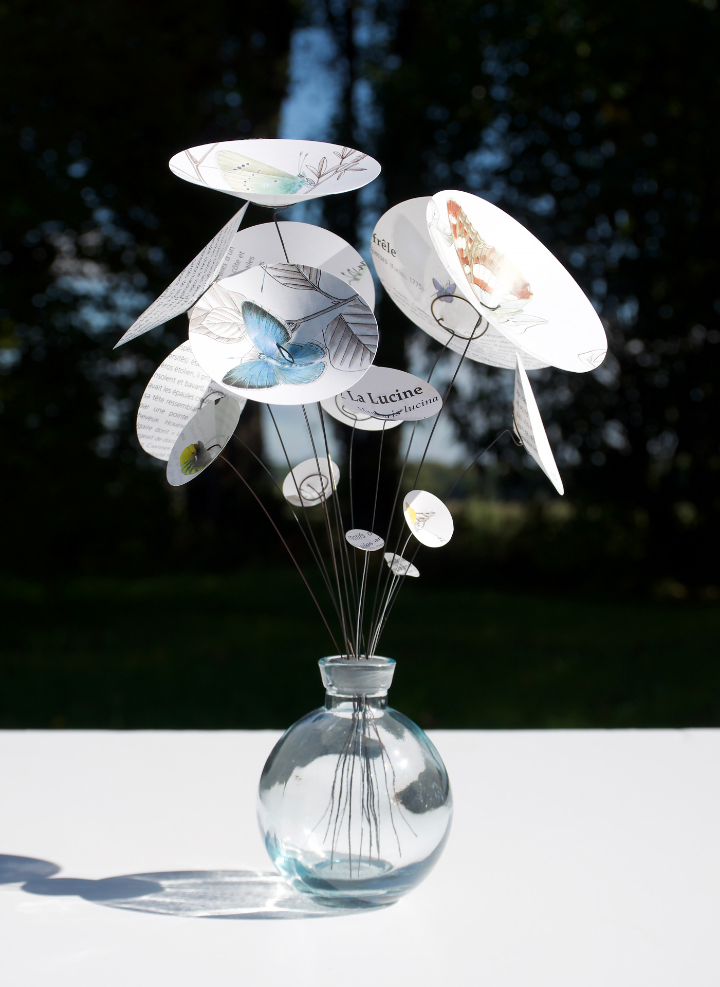 L'arbre aux papillons