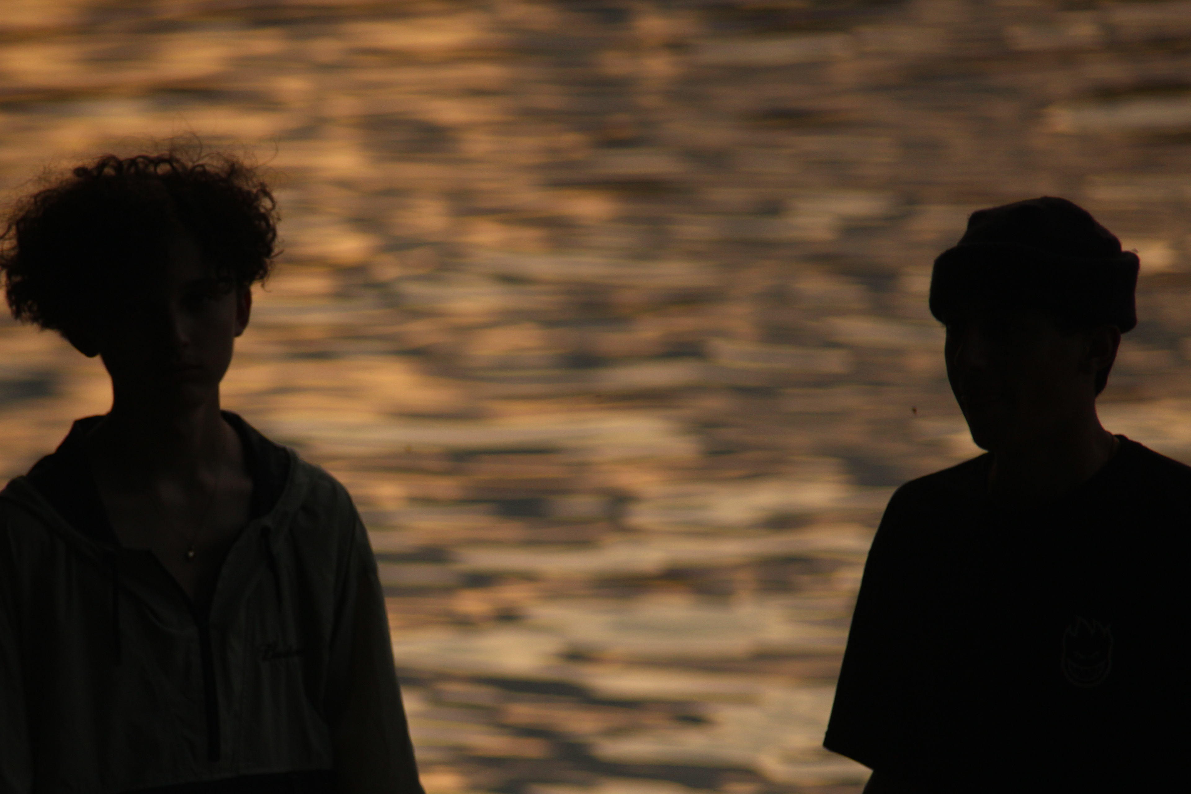 Silhouette of Friends