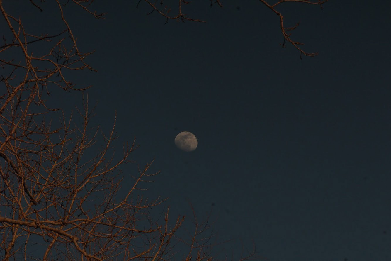 Moon in Fall