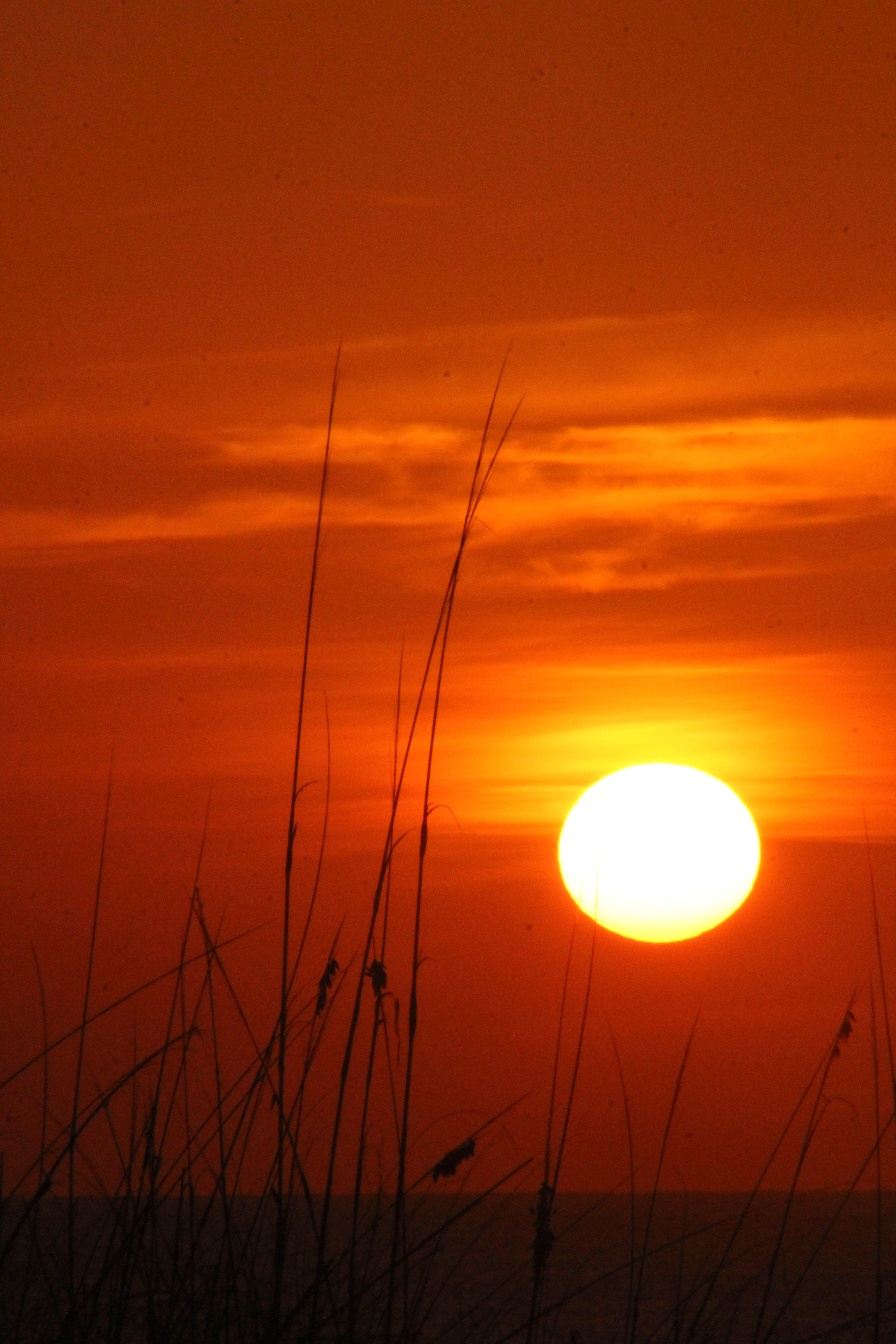 Indian Rocks Beach, FL