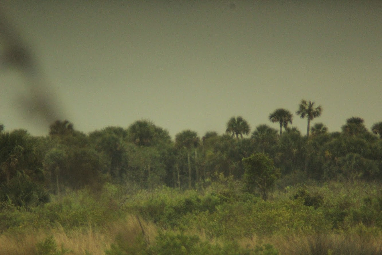 Florida Plains