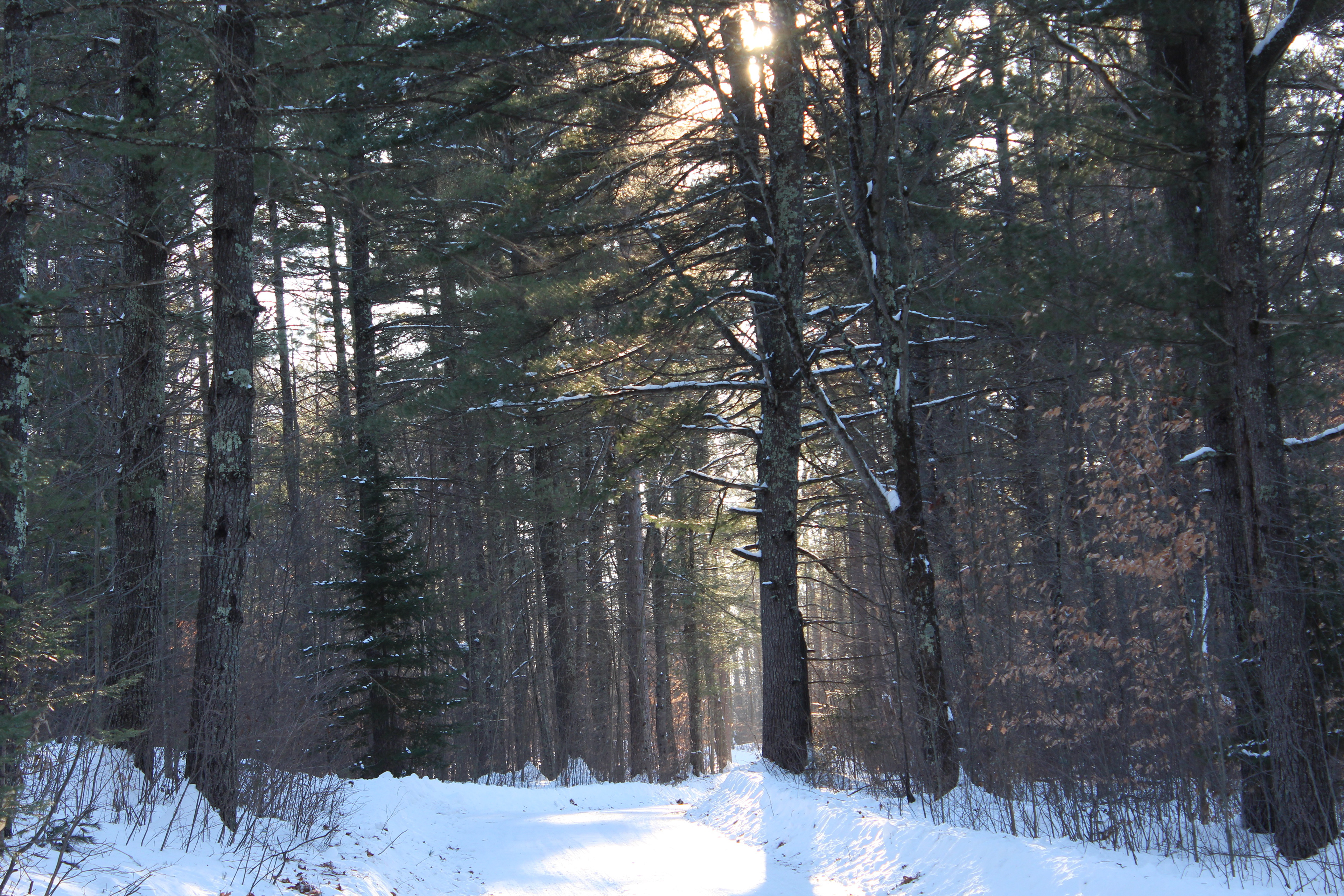 Northern WI. Trail