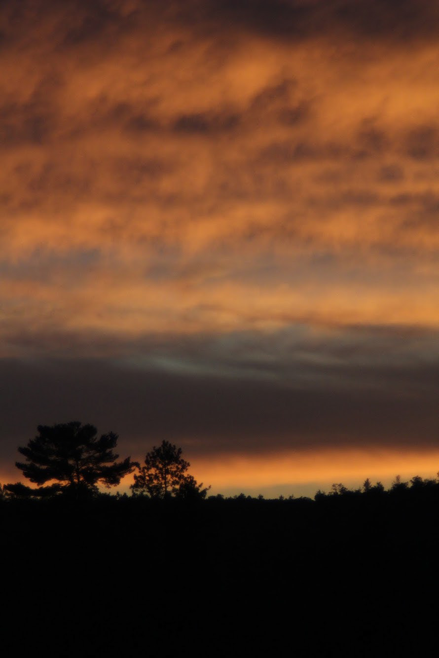 Cottage Sunset