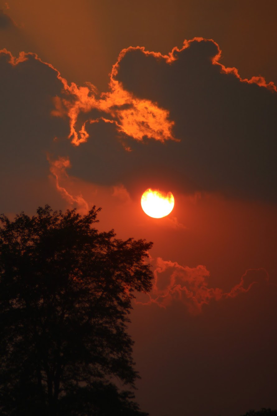 Sunset with Tree