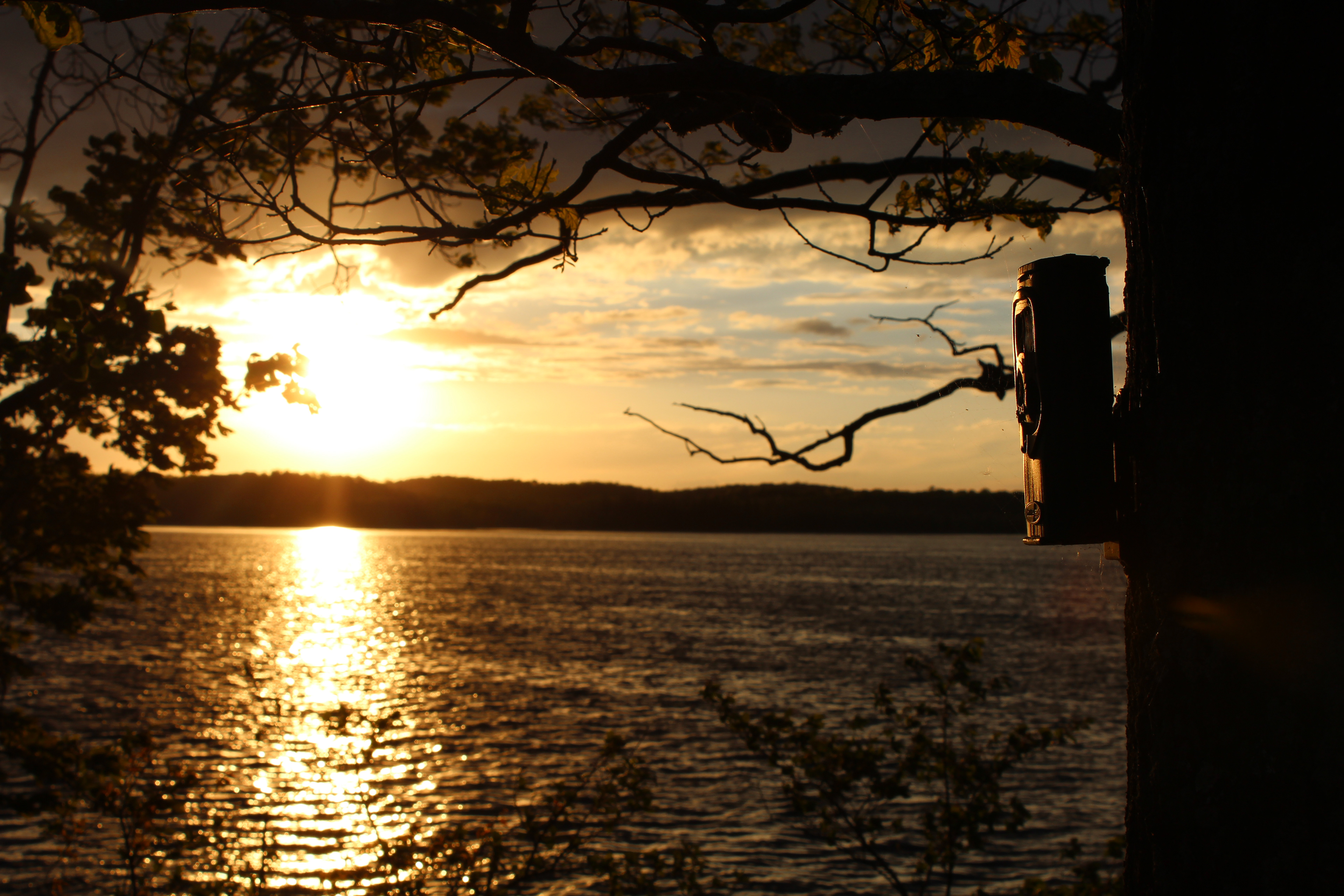 Pickerel, WI