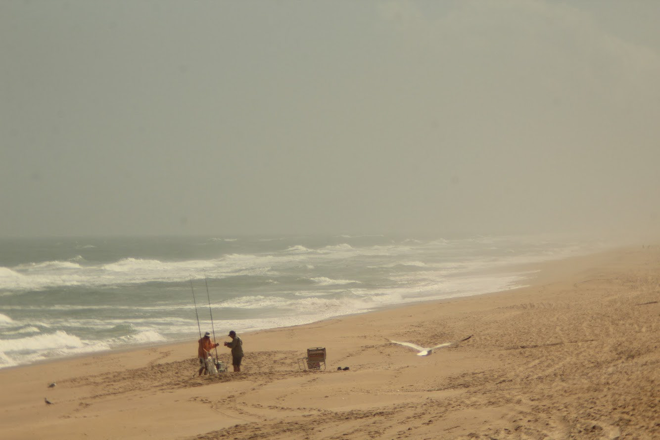 Apollo Beach Dunes, FL