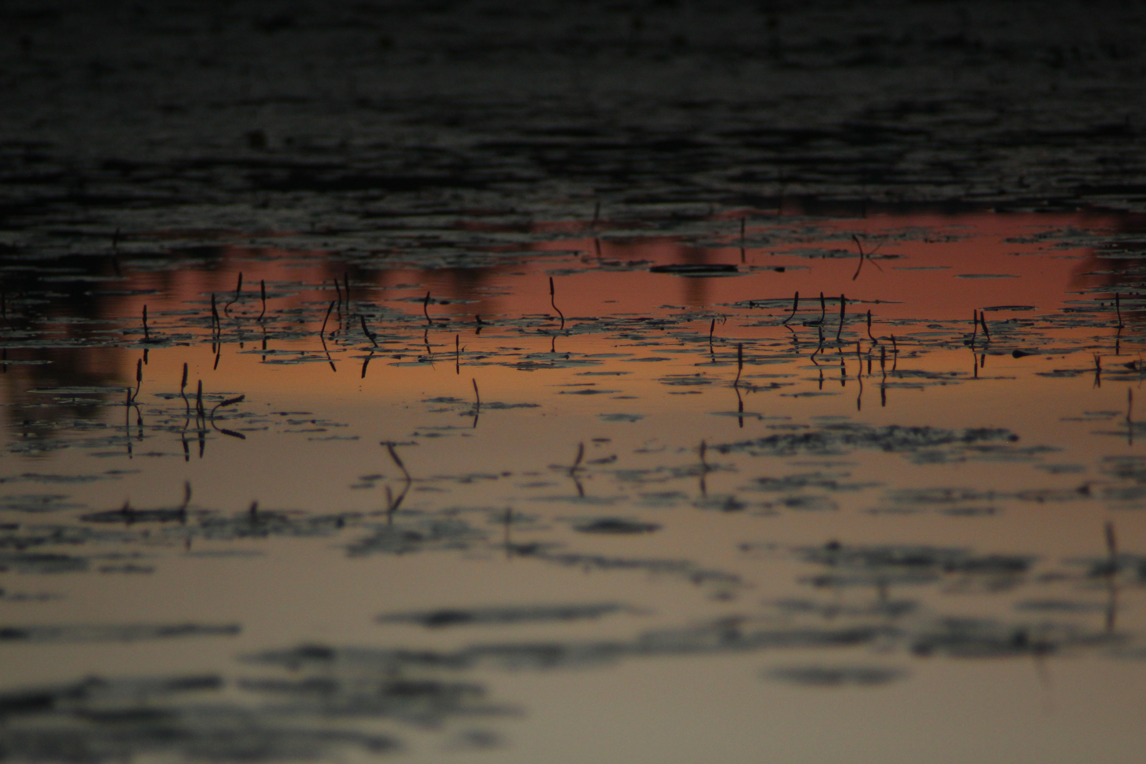 McCastlin Lake