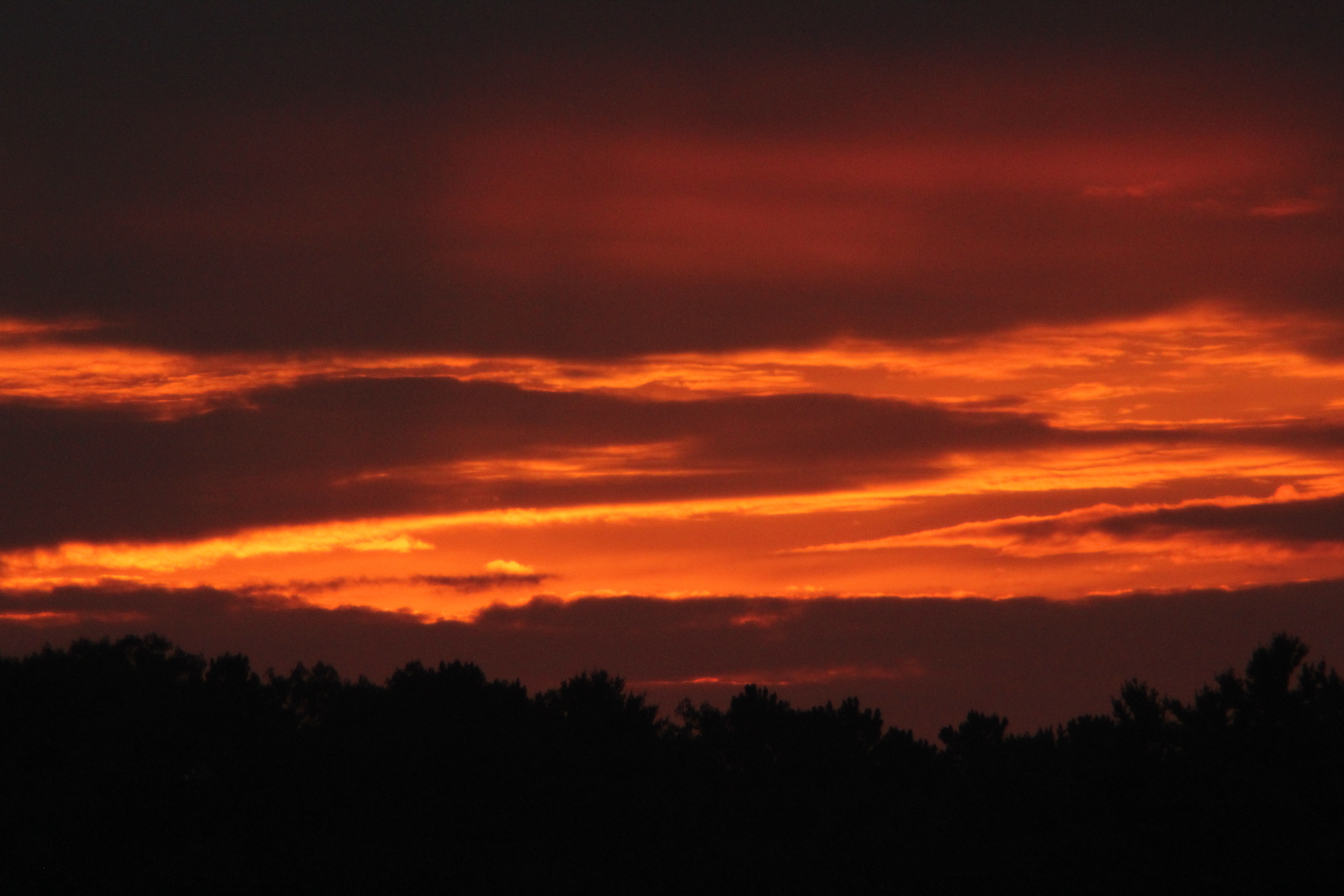 Hayward, WI Sunrise