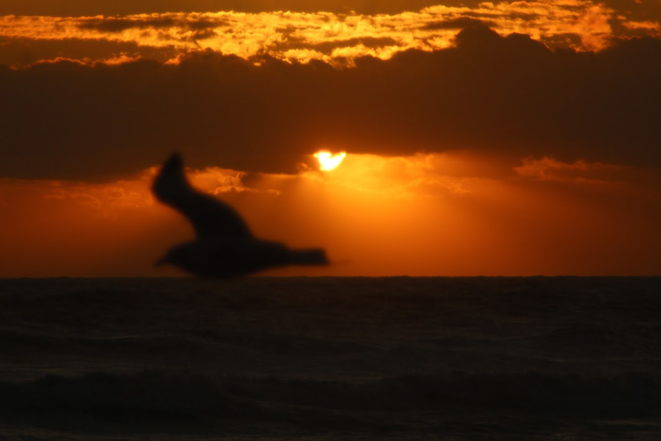 Cocoa Beach, FL