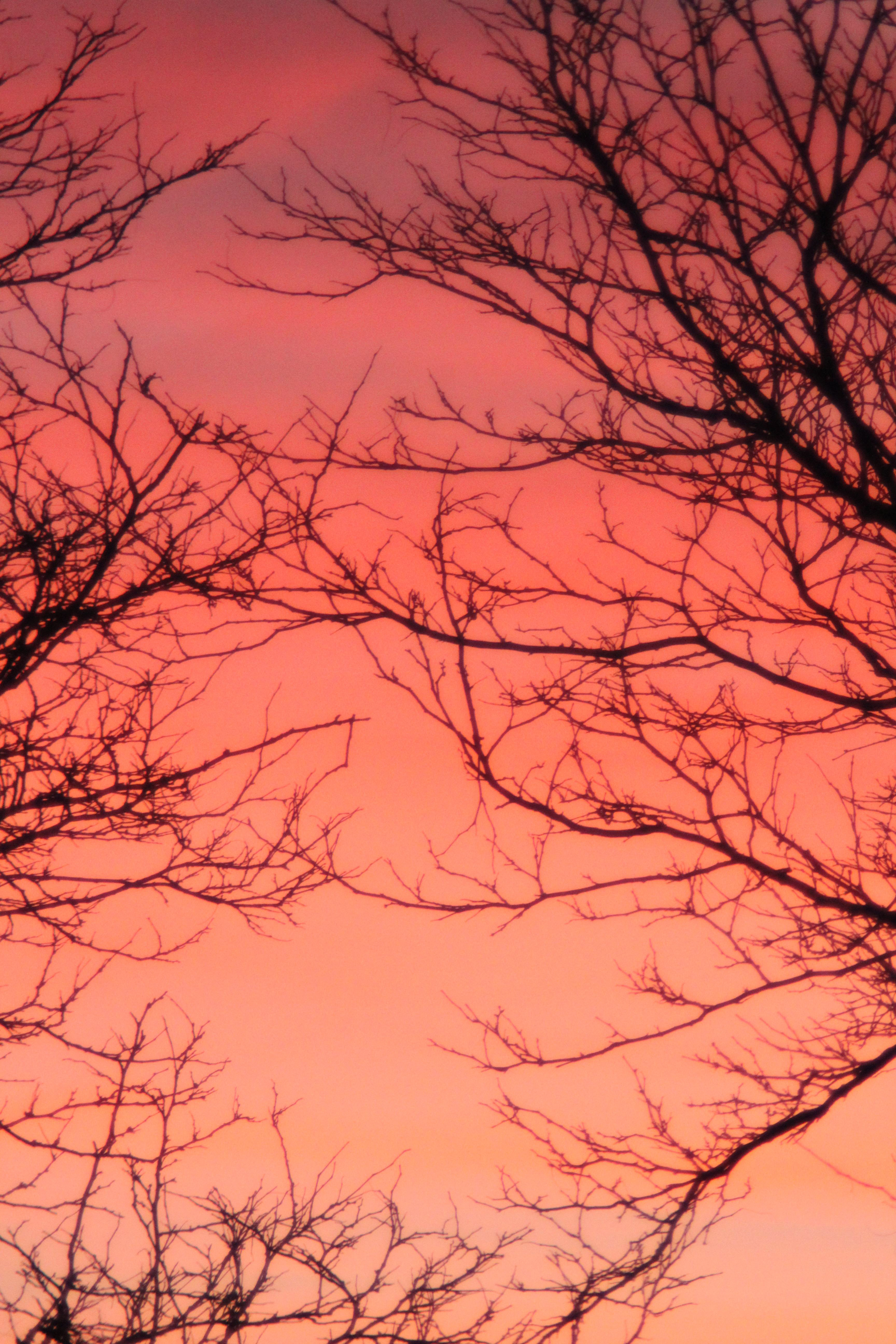 Fall Sunrise