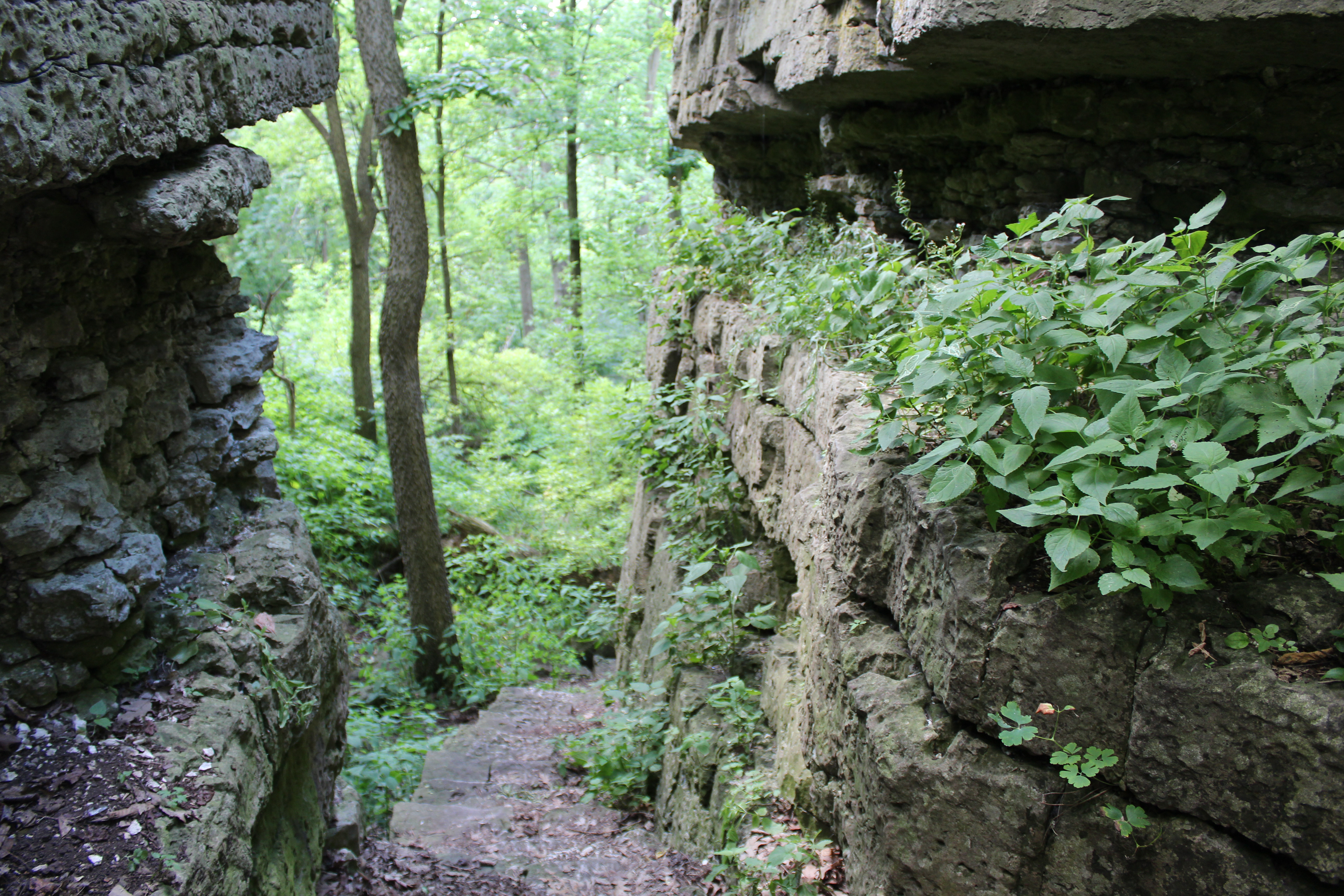 High Cliff State Park