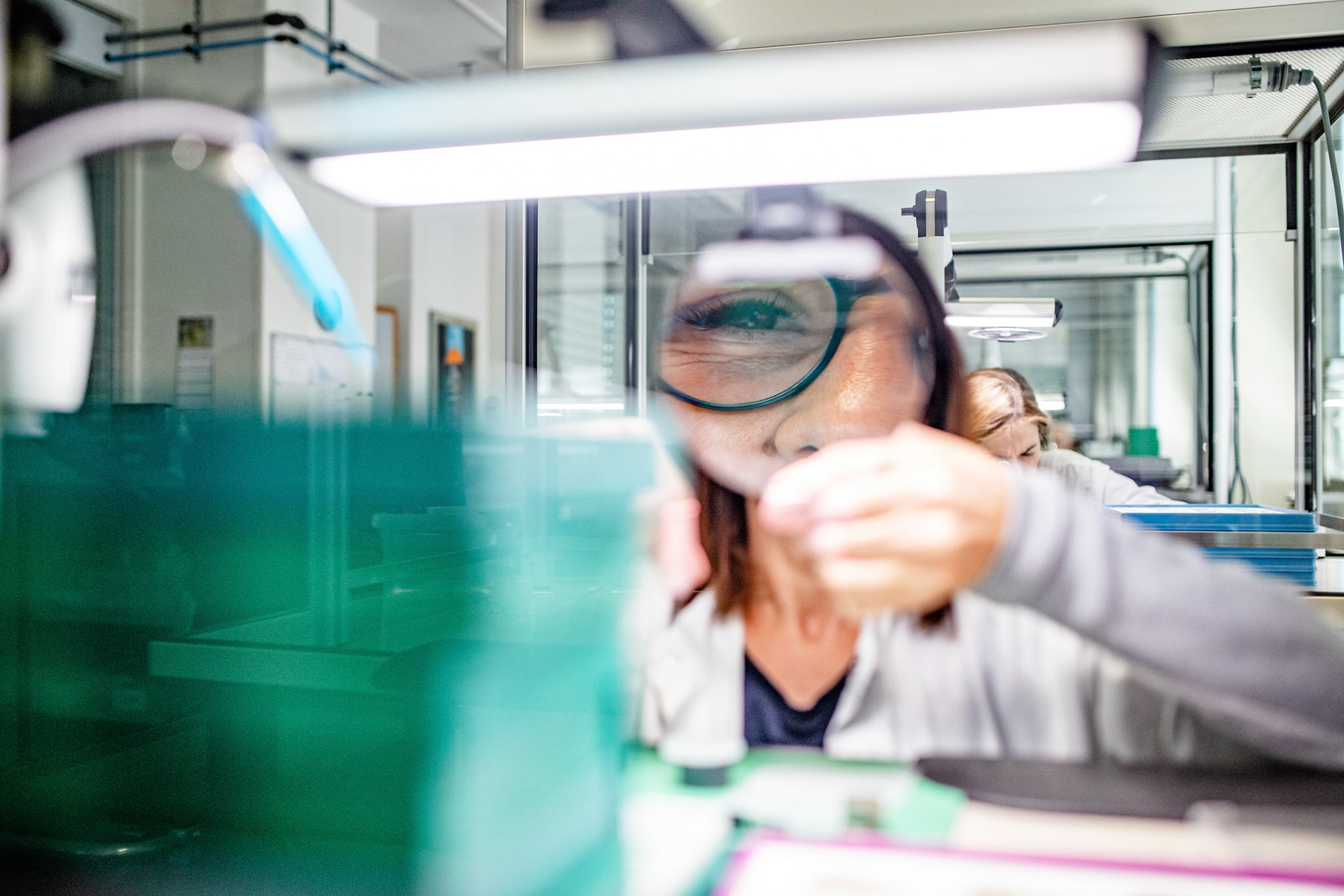 Uhrenindustrie
Uhrmacherinnen
Uhrmacher
Die Uhrenfirma feiert ihr 100-jaehriges Bestehen