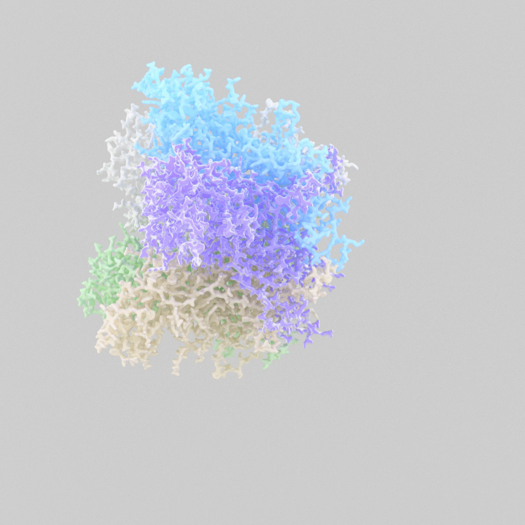 Pappillomavirus capsid (5W10)